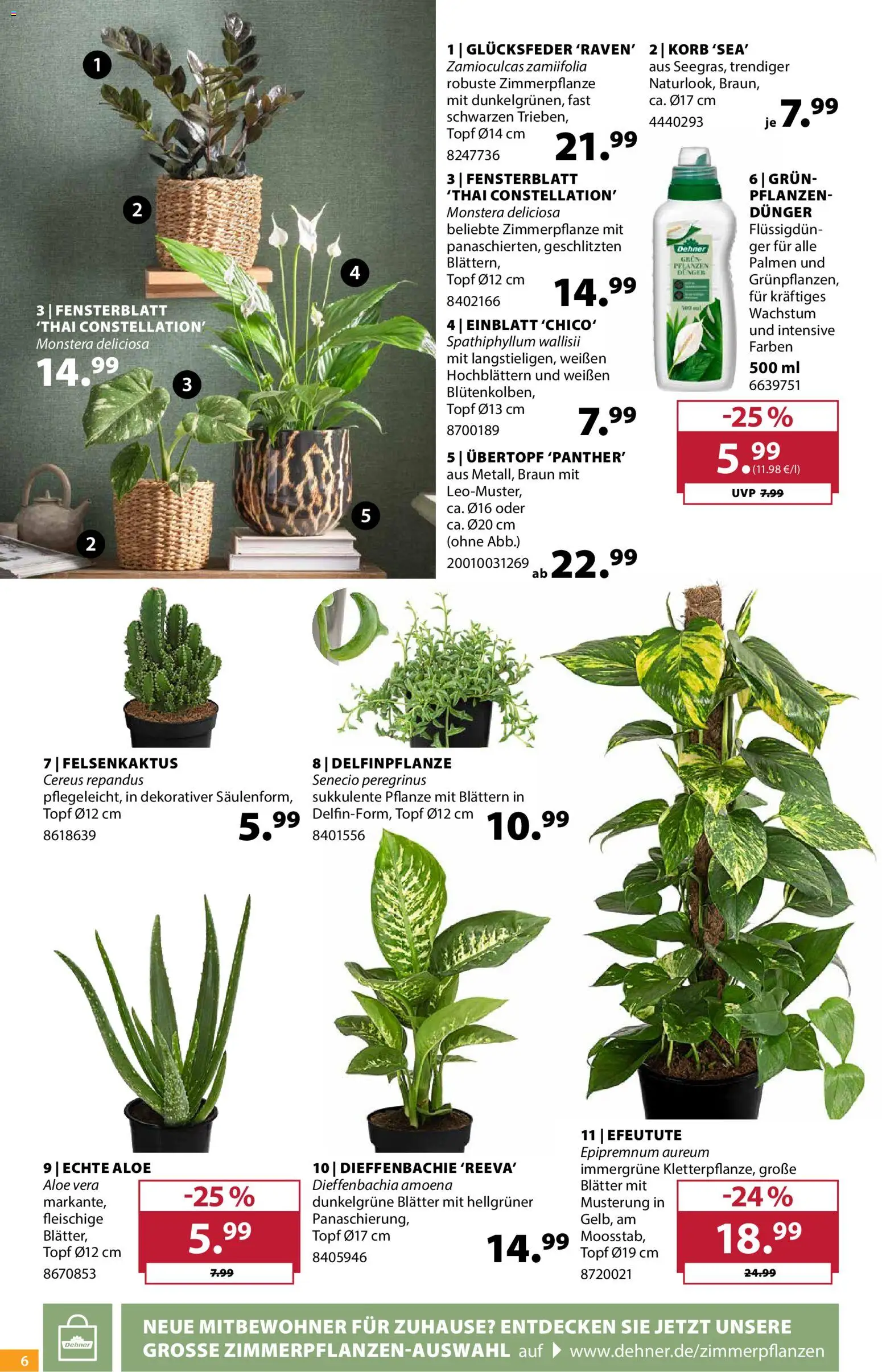 Dehner Prospekt – gültig ab 10.06.2026 | Seite: 6 | Produkte: Korb