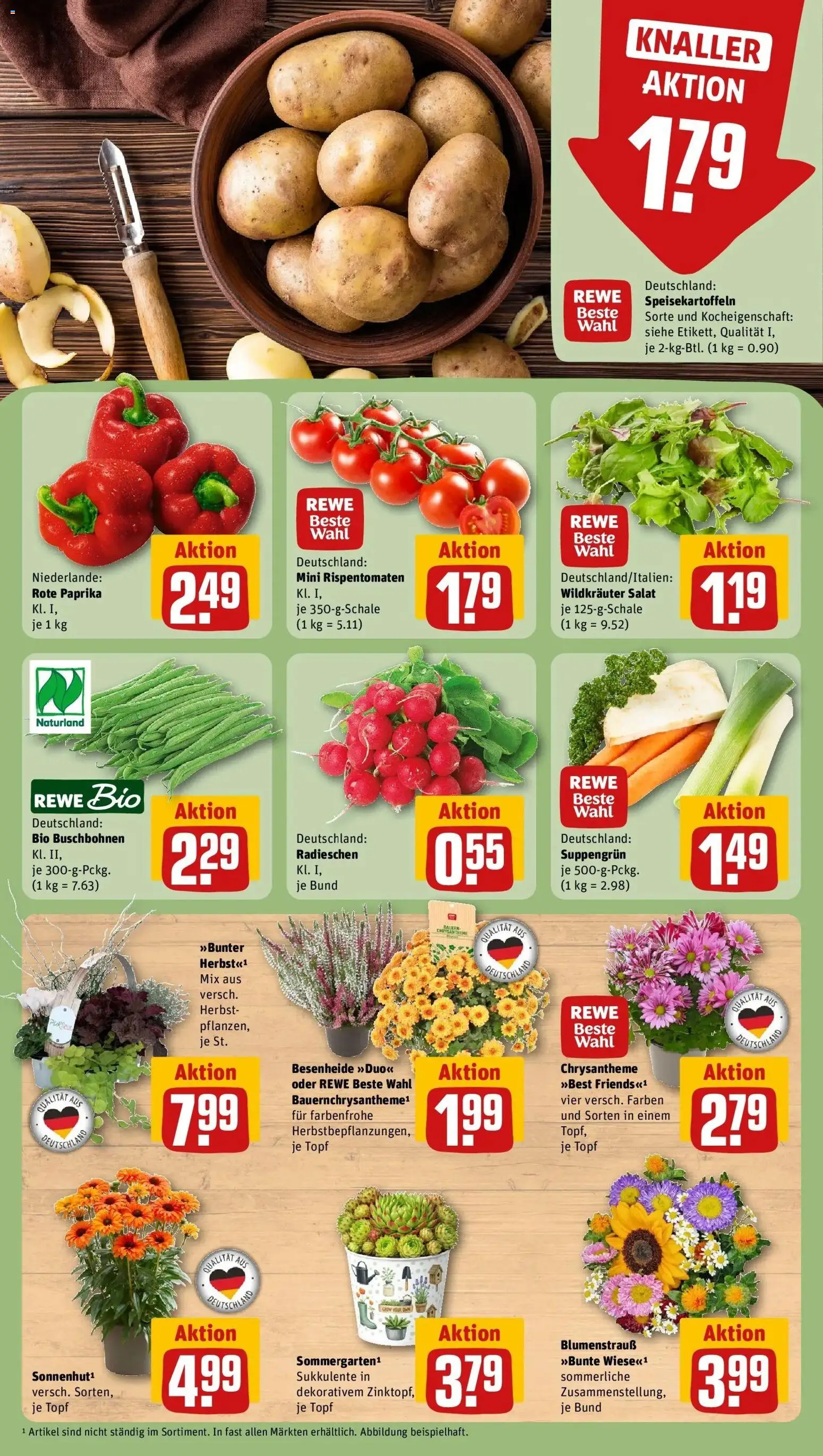 REWE Prospekt ab 07.09.2026 zum Blättern » Angebote | Seite: 7 | Produkte: Paprika, Rote Paprika, Salat