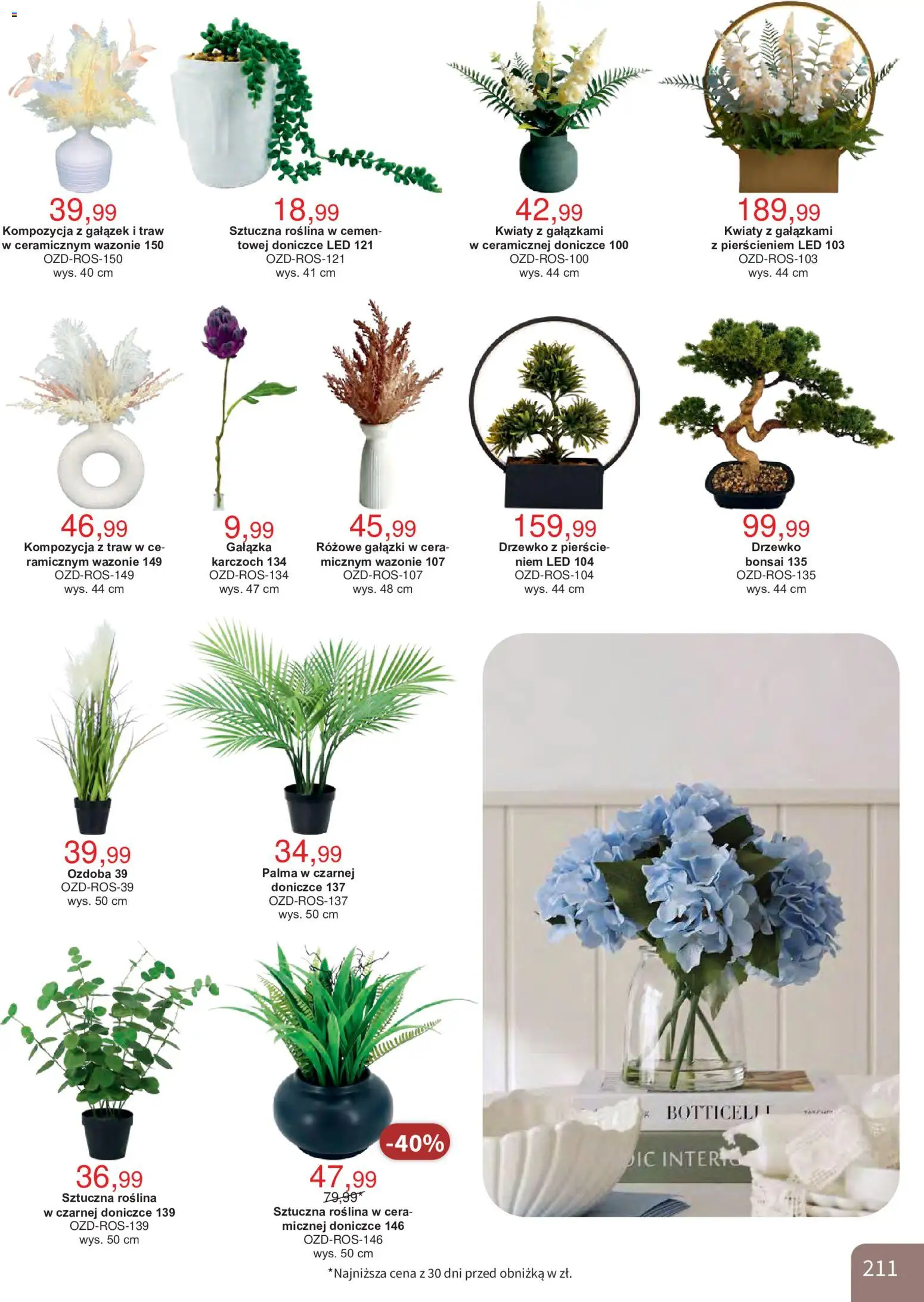 Bodzio Katalog od 01.10.2026 | Strona: 211 | Produkty: Palma, Kwiaty