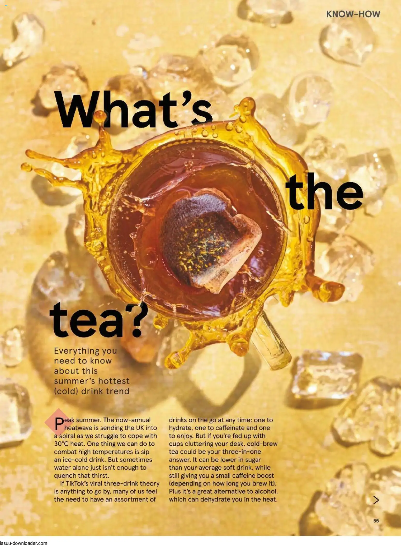 {H1} | Page: 55 | Products: Tea, Papier carton