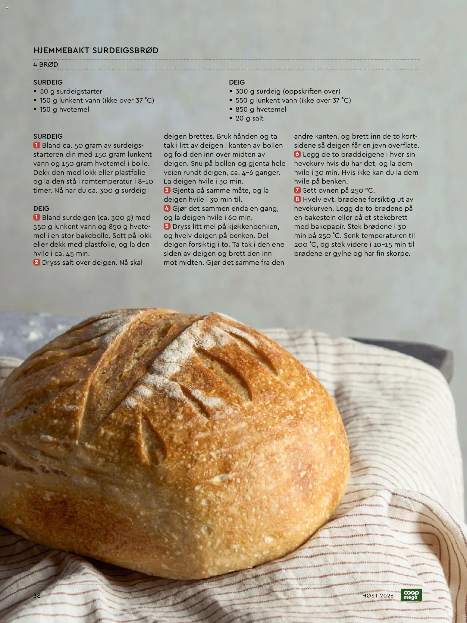 {H1} | Side: 38 | Produkter: Deig, Surdeigsbrød, Mel, Vann