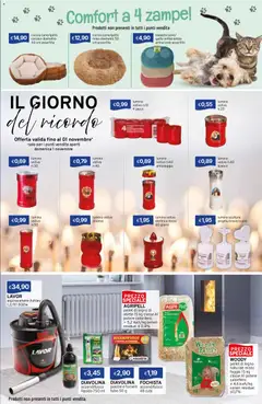 Anteprima del volantino Sirene Blu volantino valido a partire dal 01/10/2026 | Pagina: 13