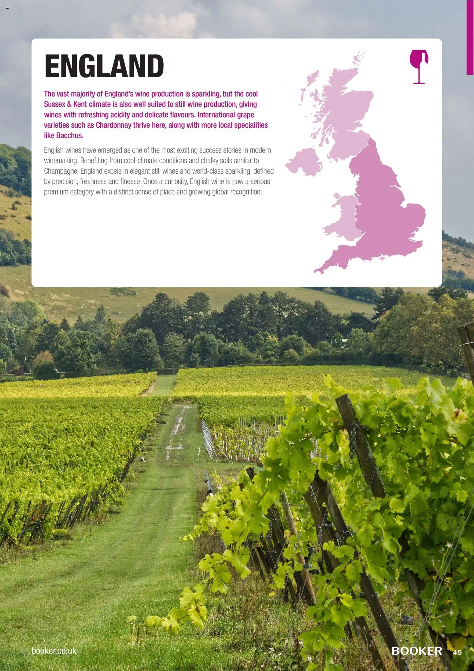 {H1} | Page: 45 | Products: Grape, Wine