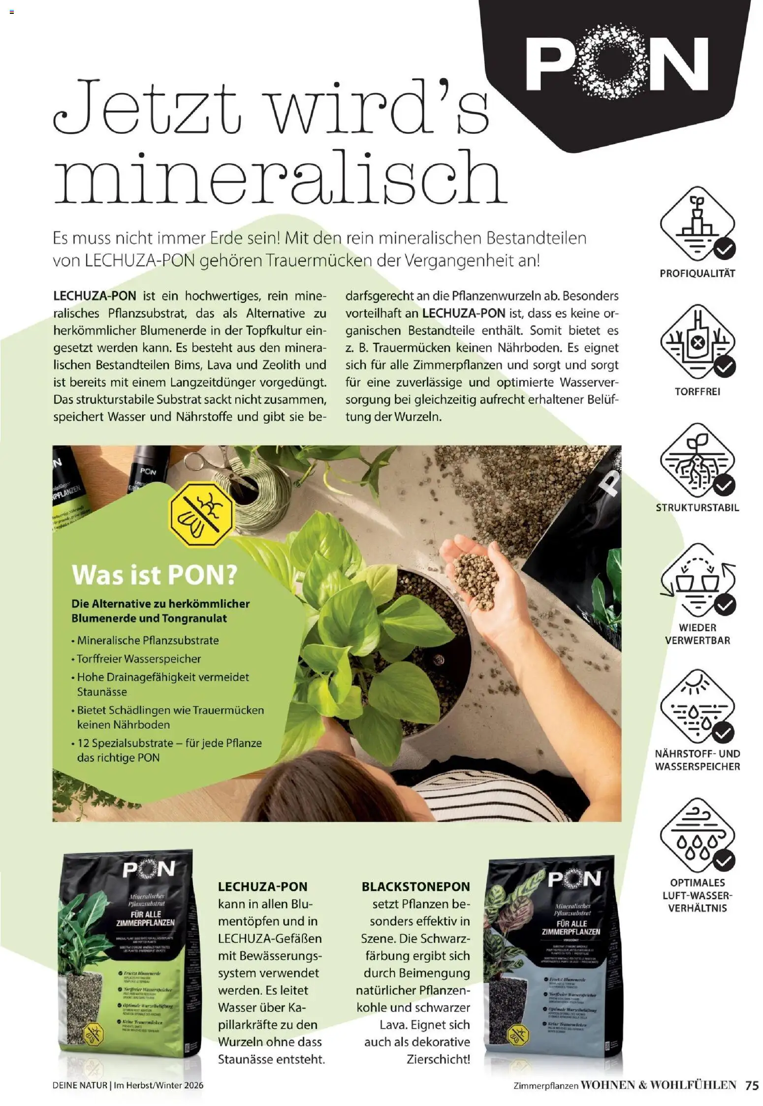 Dehner Prospekt – gültig ab 09.10.2026 | Seite: 75
