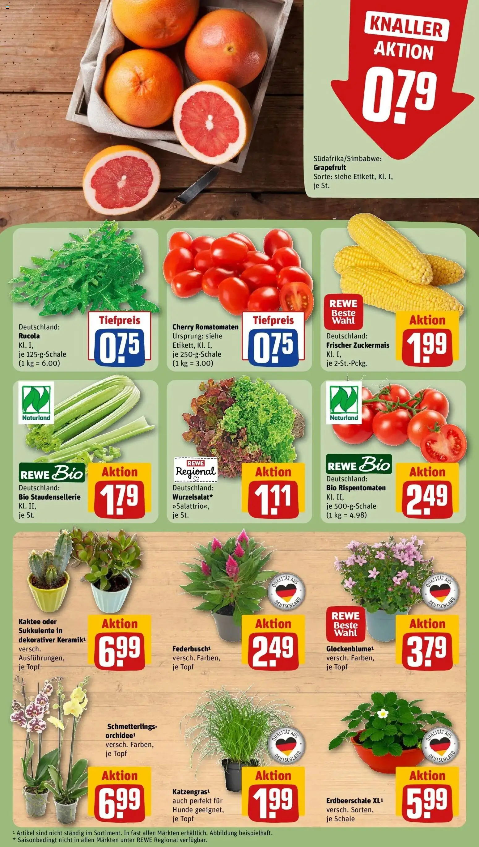 Rewe Prospekt Gelsenkirchen / Scholven – gültig ab 27.07.2026 | Seite: 5 | Produkte: Rucola, Grapefruit
