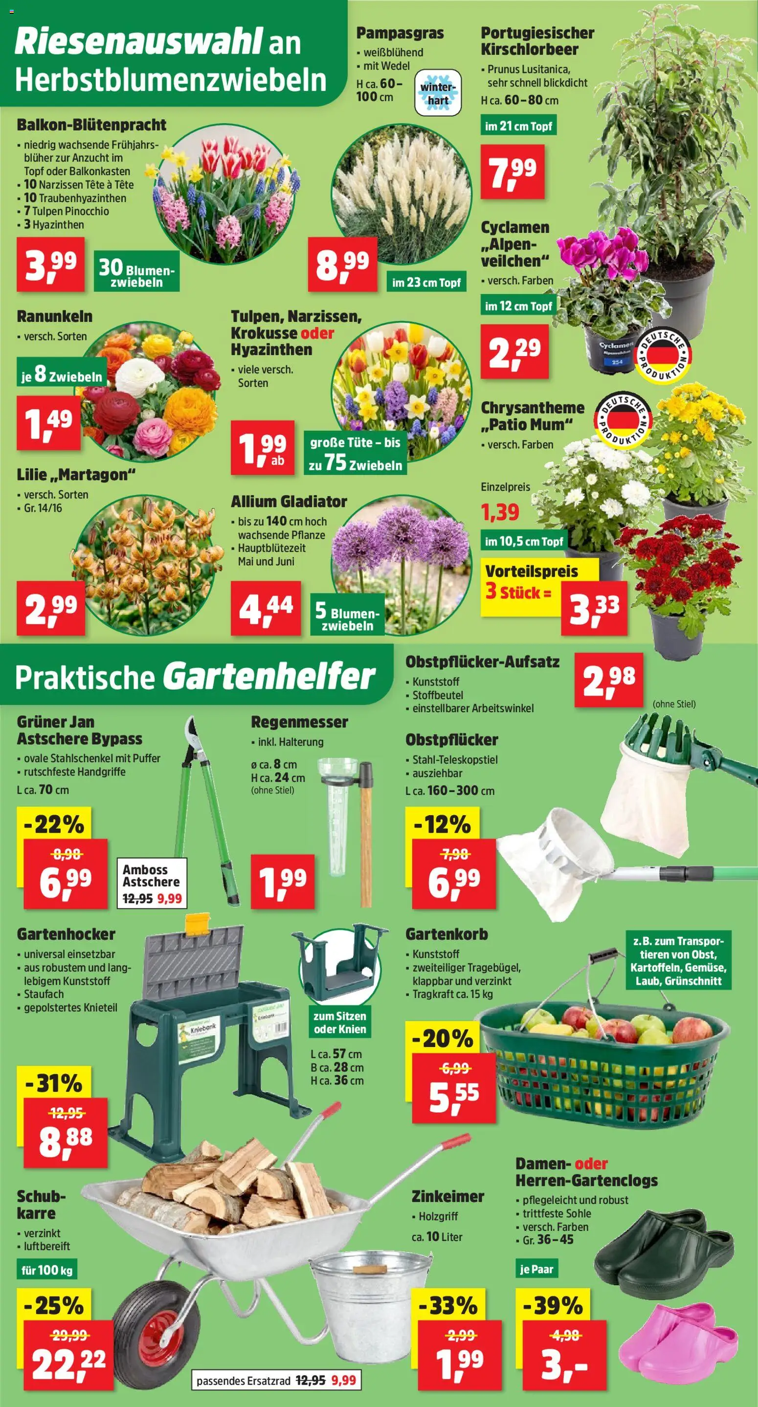 Thomas Philipps Prospekt – gültig ab 21.09.2026 | Seite: 2