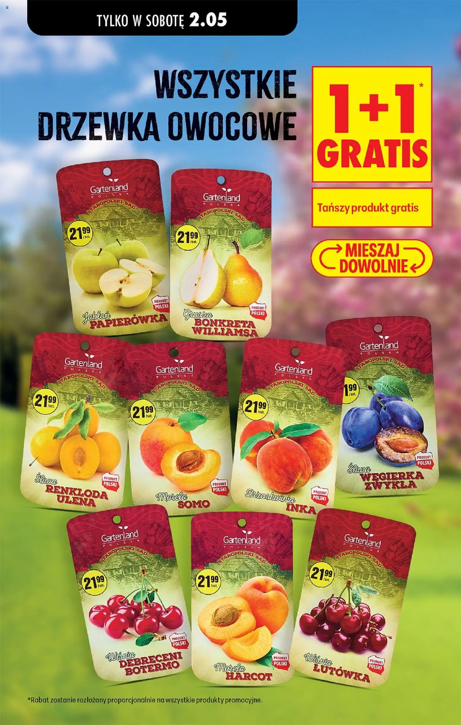 Biedronka gazetka - Najtańsza sobota od 02.05.2026 | Strona: 4 | Produkty: Brzoskwinia, Drzewka owocowe