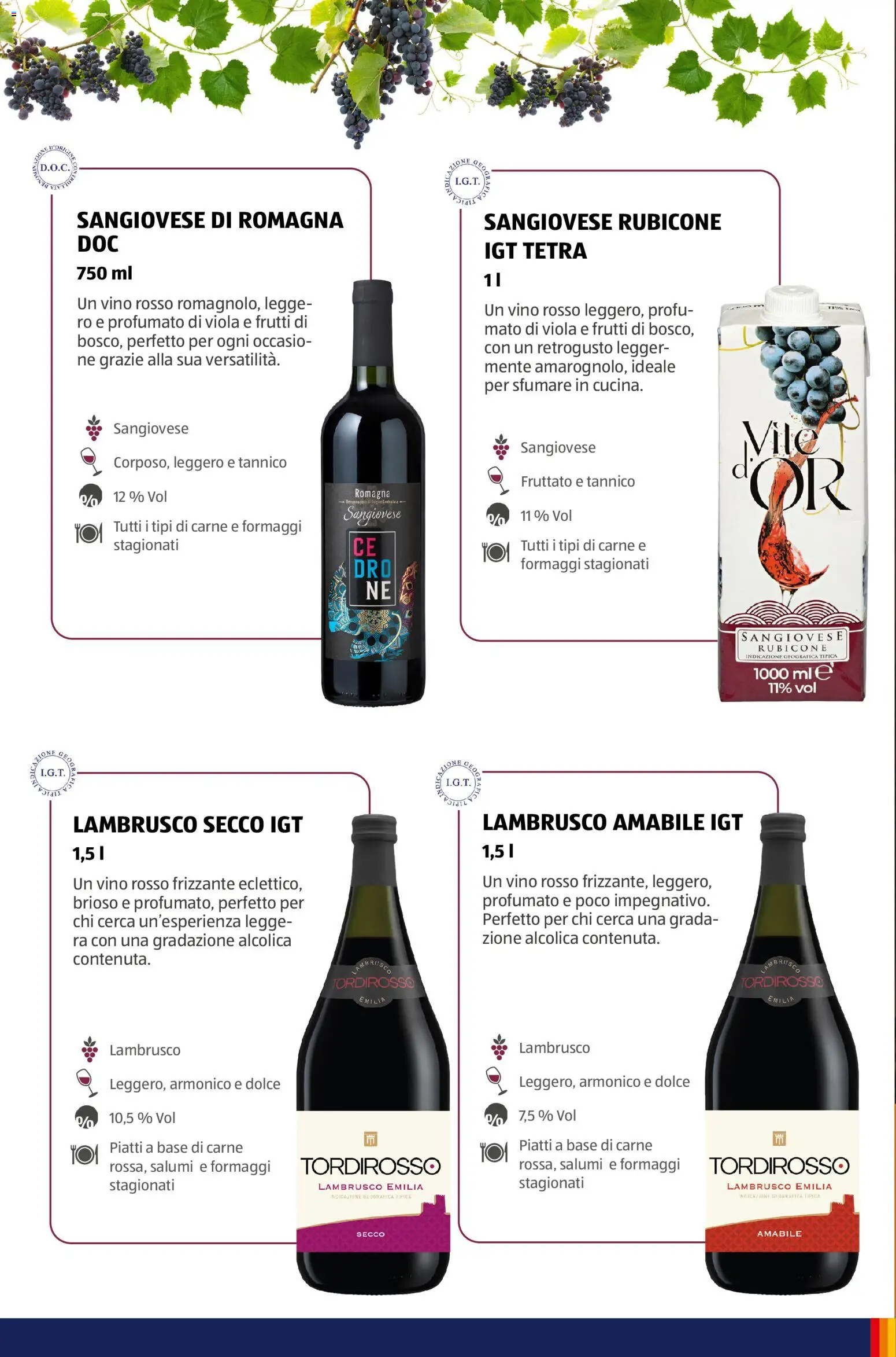 Volantino Aldi del 12/01/2026 | Pagina: 24 | Prodotti: Piatti, Carne, Vino rosso, Lambrusco