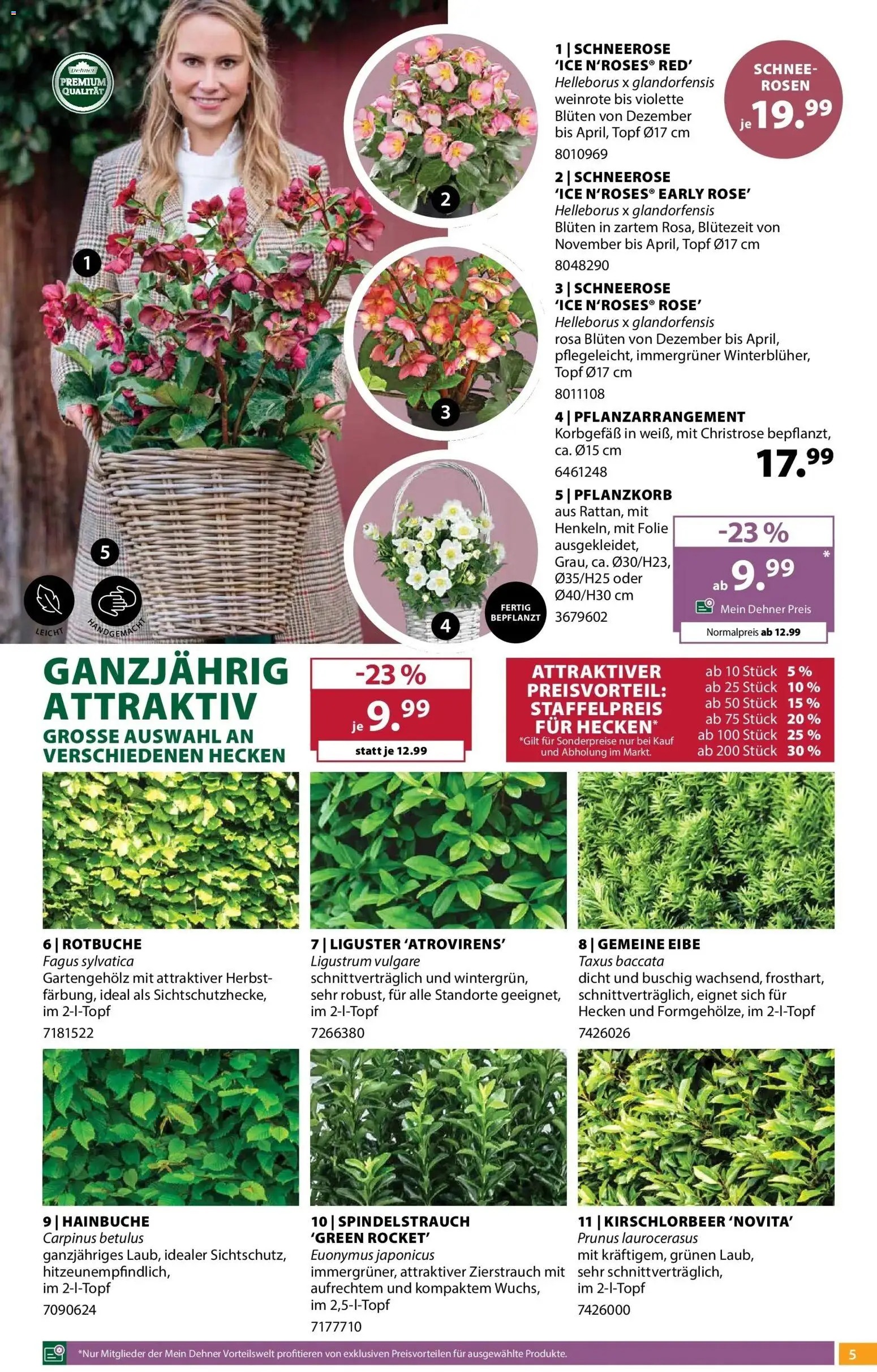 Dehner Garten & Zoo von 14.10.2026 - Aktuelle Angebote | Seite: 5