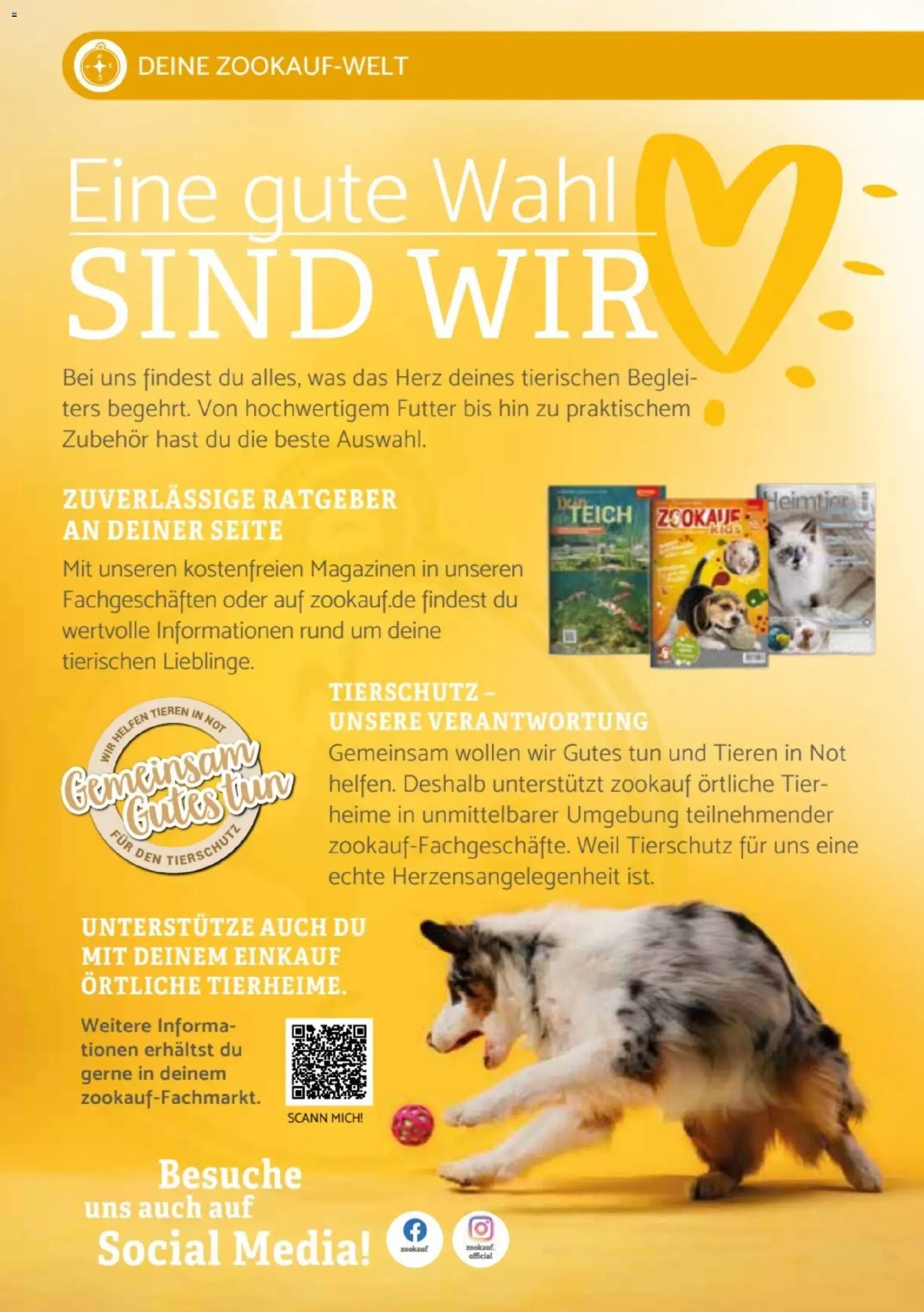 zookauf Heimtier Journal Special – gültig ab 01.10.2026 | Seite: 14