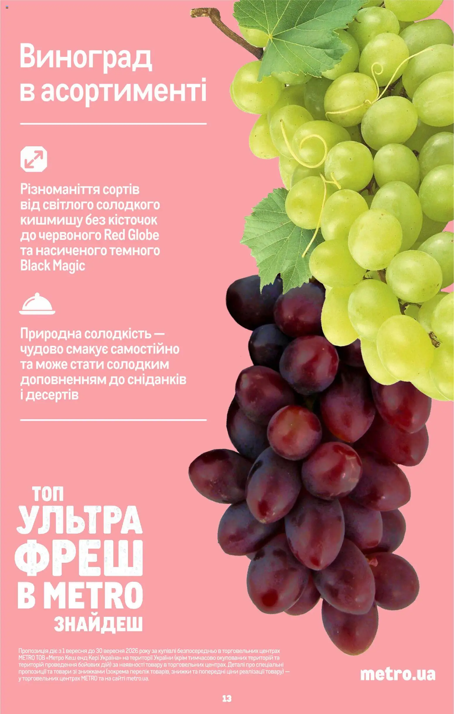 Metro Kаталог - дійснийкції з 02.09.2026 | Сторінка: 15 | Товари: Виноград