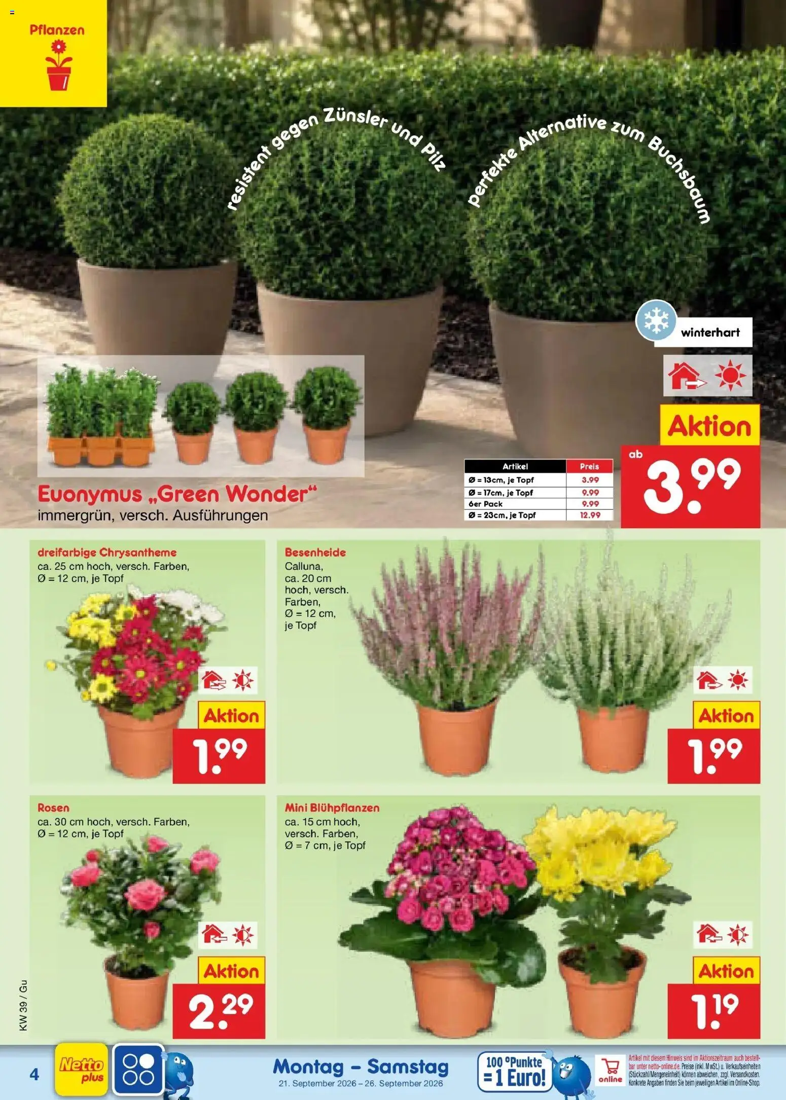 Netto Marken-Discount Prospekt Machern – gültig ab 21.09.2026 | Seite: 4