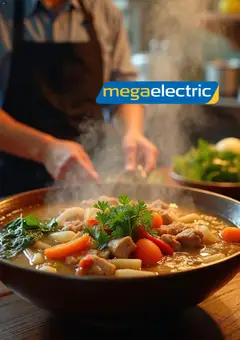 Megaelectric φυλλαδιο σε ισχύ από 01/09/2026