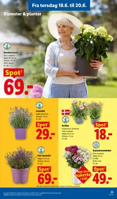 Lidl - Tilbudsavis gyldig fra 14.06.2026 | Side: 34 | Produkter: Søm