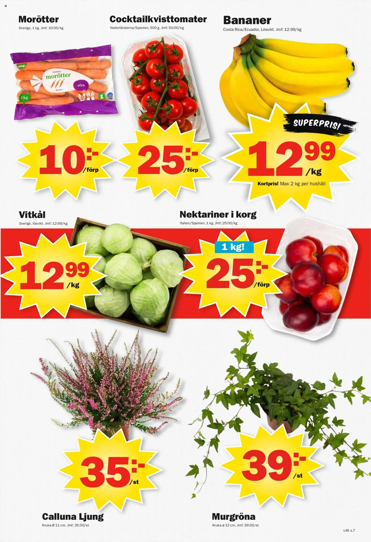 Pekås reklamblad aktuell från 31/08/2026 | Sida: 7 | Produkter: Ljung, Kruka, Morötter, Bananer