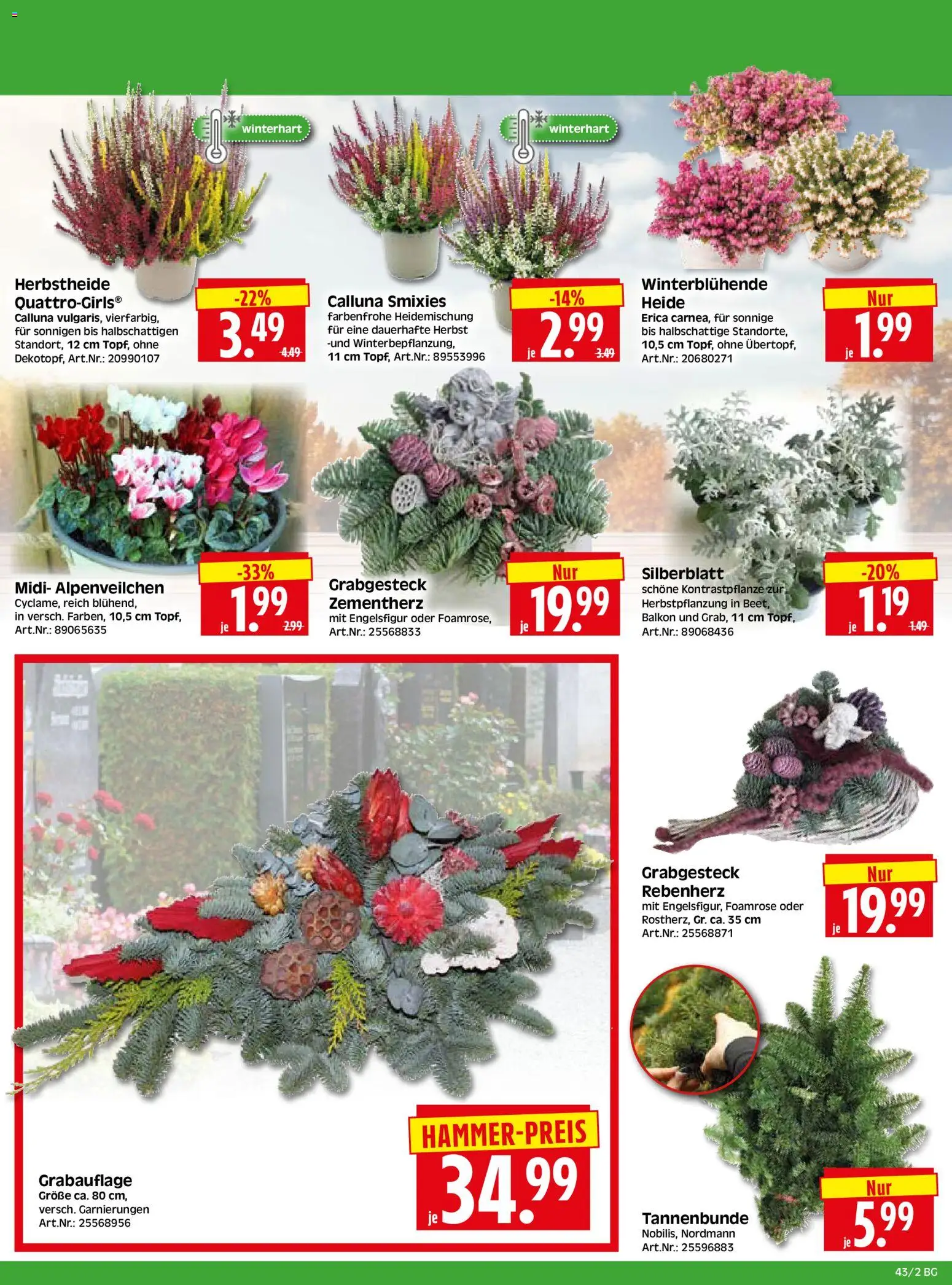 HERKULES Bau & Garten – gültig ab 19.10.2026 | Seite: 2