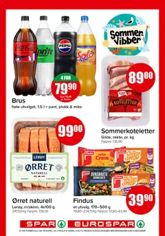 Forhåndsvisning av Spar kundeavis gyldig fra 22/06/2026 | Side: 5