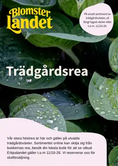 Blomsterlandet erbjudanden - Förhandsvisning av reklamblad från butik Blomsterlandet aktuell från 22/09/2026