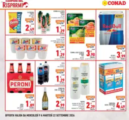 Anteprima del volantino BEVANDA ALLA FRUTTA SKIPPER, in esempio: arancia rossa vari tipi 1 L valido a partire dal 09/09/2026 | Pagina: 4