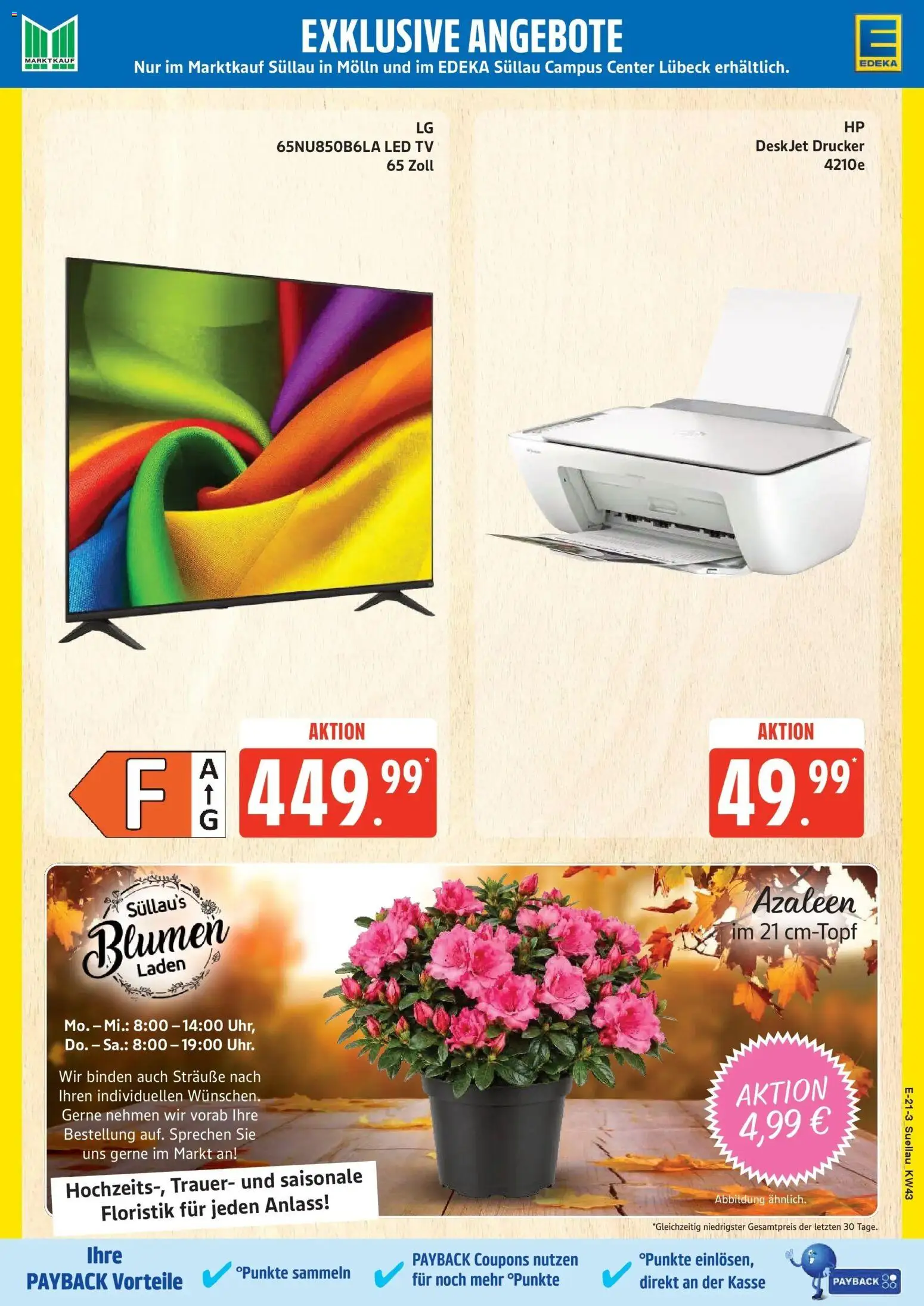 Edeka Prospekt Mölln (ab 19.10.2026) » Angebote Online | Seite: 29 | Produkte: Blumen, Drucker, TV