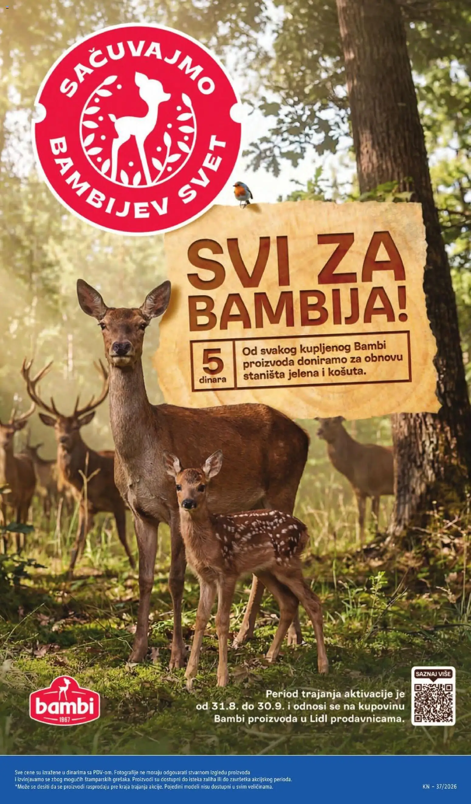 Lidl katalog - važi od 10.09.2026 | Strana: 55