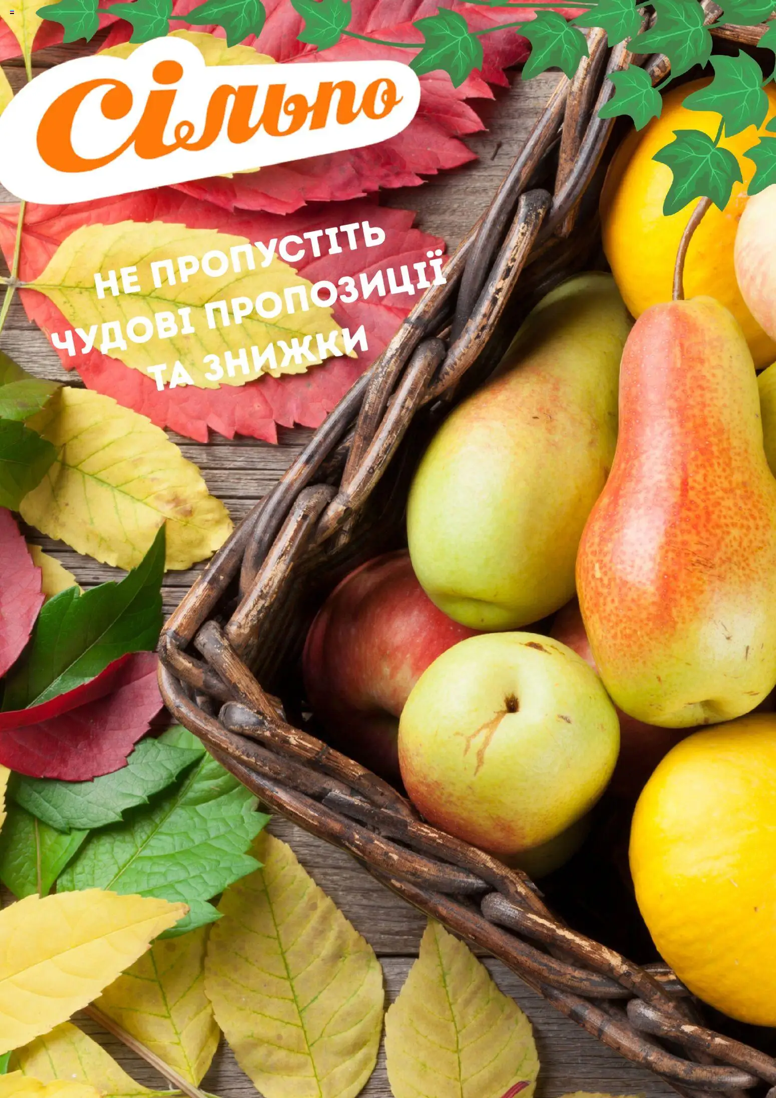 Сільпо Kаталог - дійснийкції з 01.10.2026 | Сторінка: 1