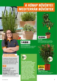 OBI akciós újság Nagykanizsa - amely érvényes a következő dátumtól: 2026.07.01. | Oldal: 3 | Termékek: Kaspó