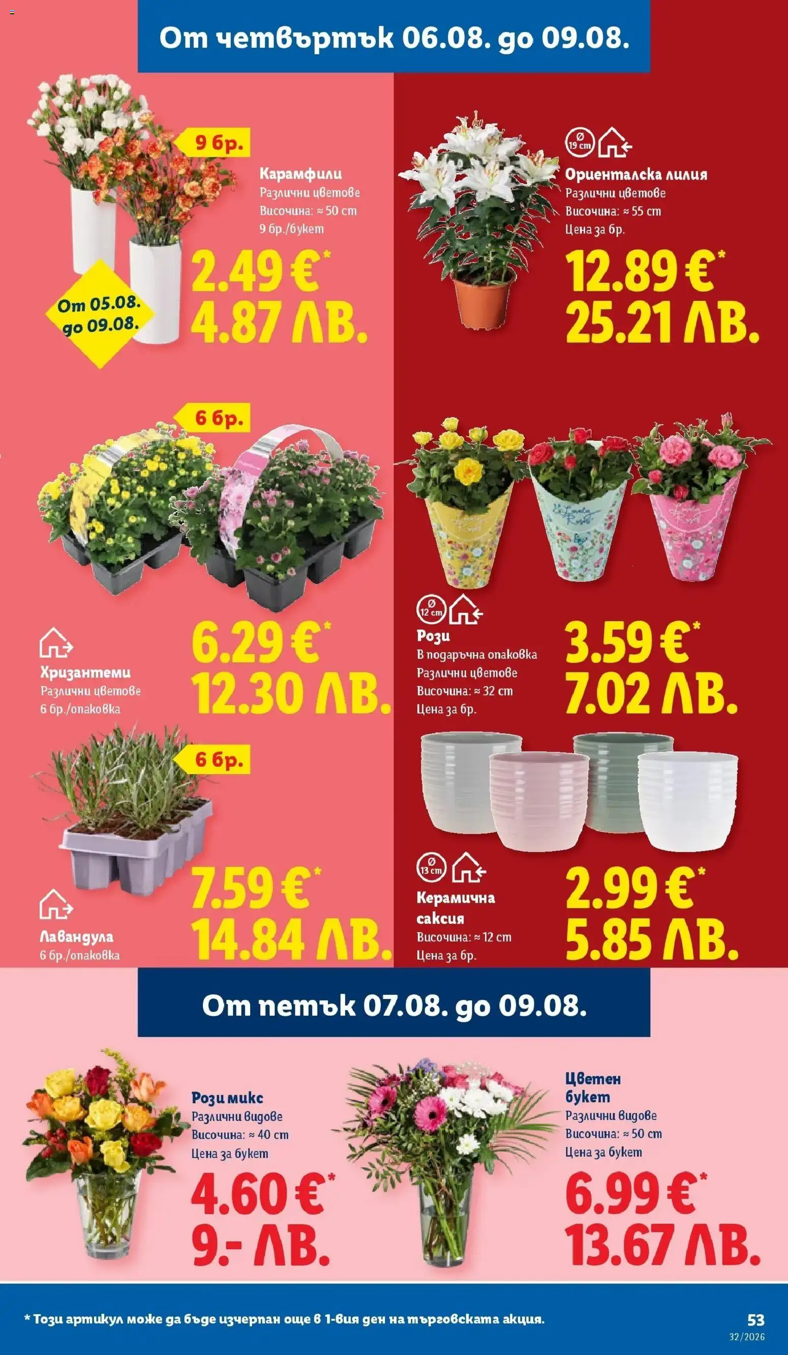{H1} | Страница: 53 | Продукти: Саксия