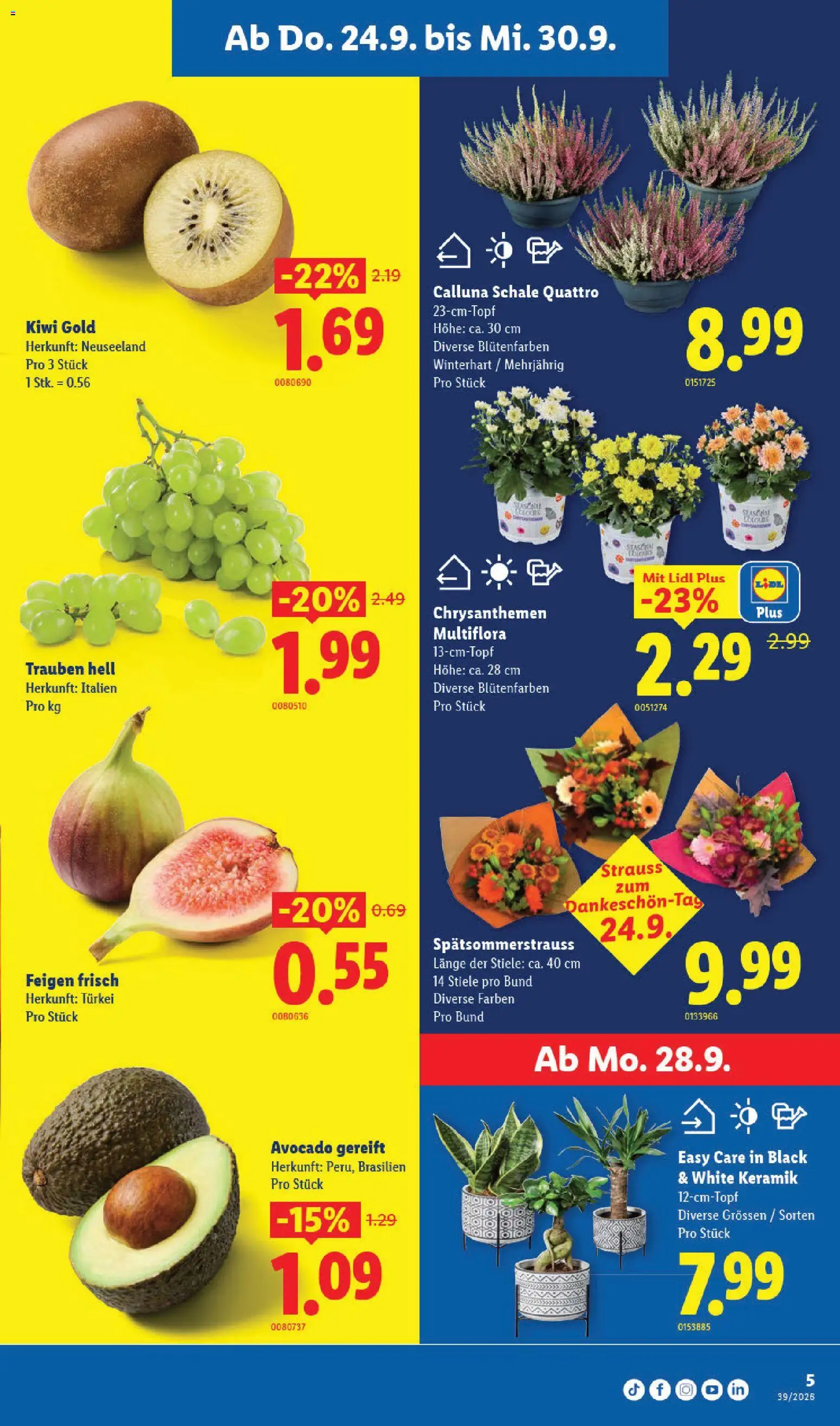Lidl aktionen – gültig ab 24.09.2026 | Seite: 5