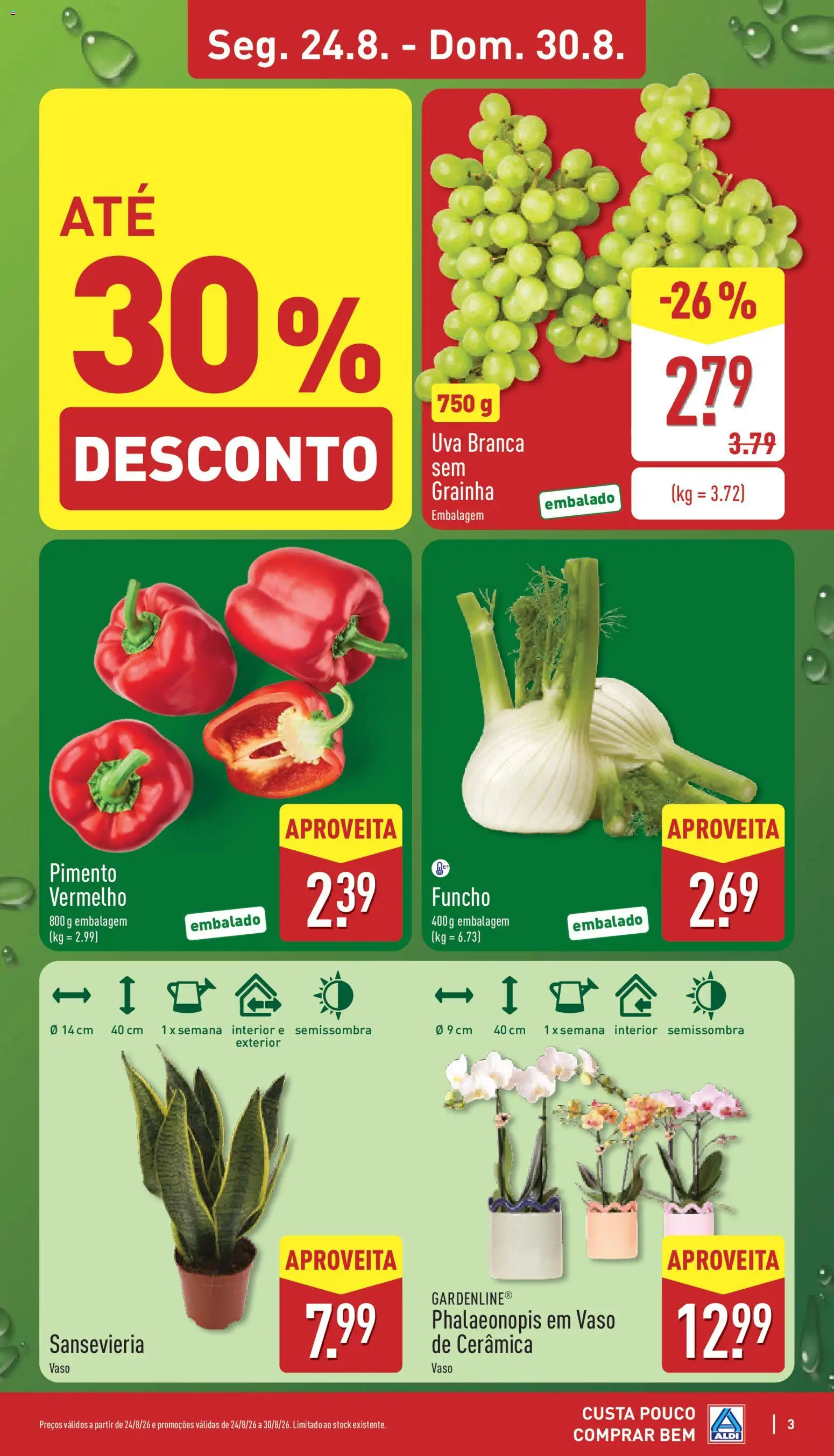 Aldi folheto │ válido de 24/08/2026 | Página: 3 | Produtos: Vaso, Pimento vermelho, Pimento