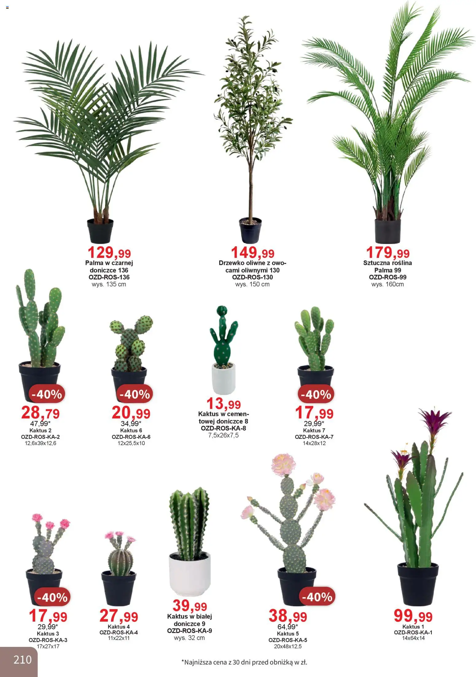 Bodzio Katalog od 01.04.2026 | Strona: 210