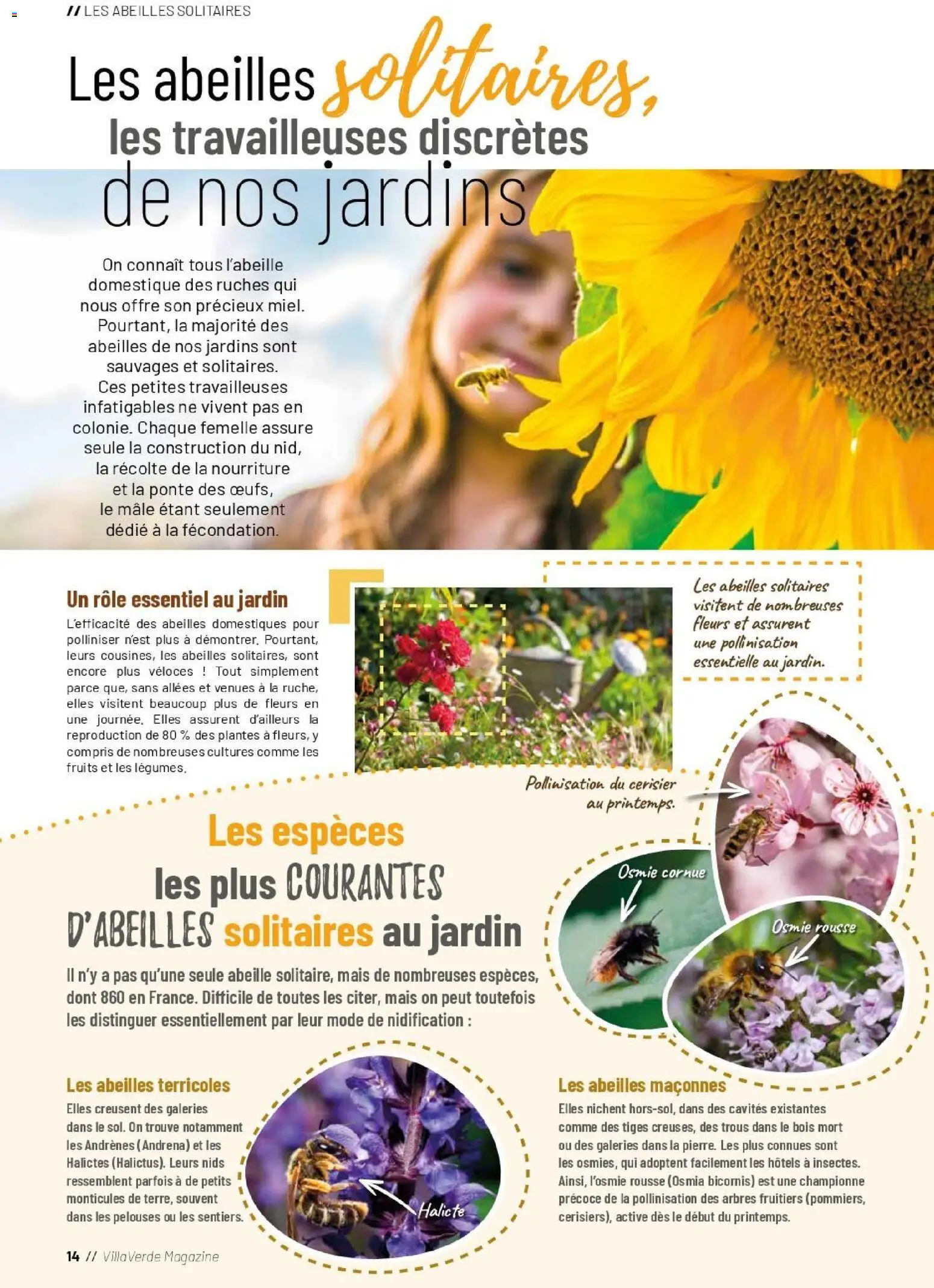 {H1} | Page: 14 | Produits: Plantes, Mais, Magazine