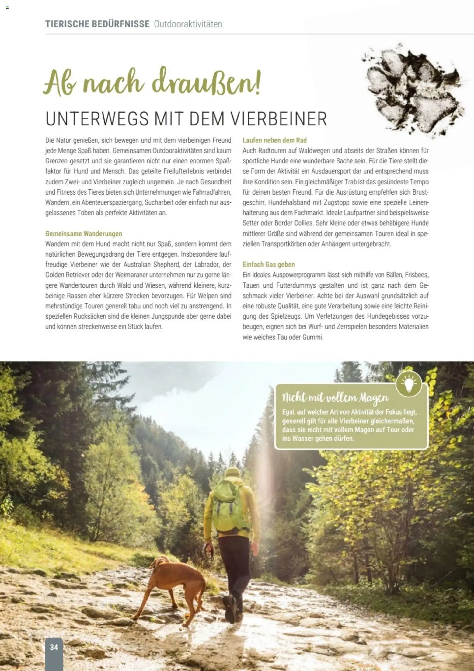zookauf Themenkatalog Hund – gültig ab 18.05.2026 | Seite: 34 | Produkte: Wasser, Tempo
