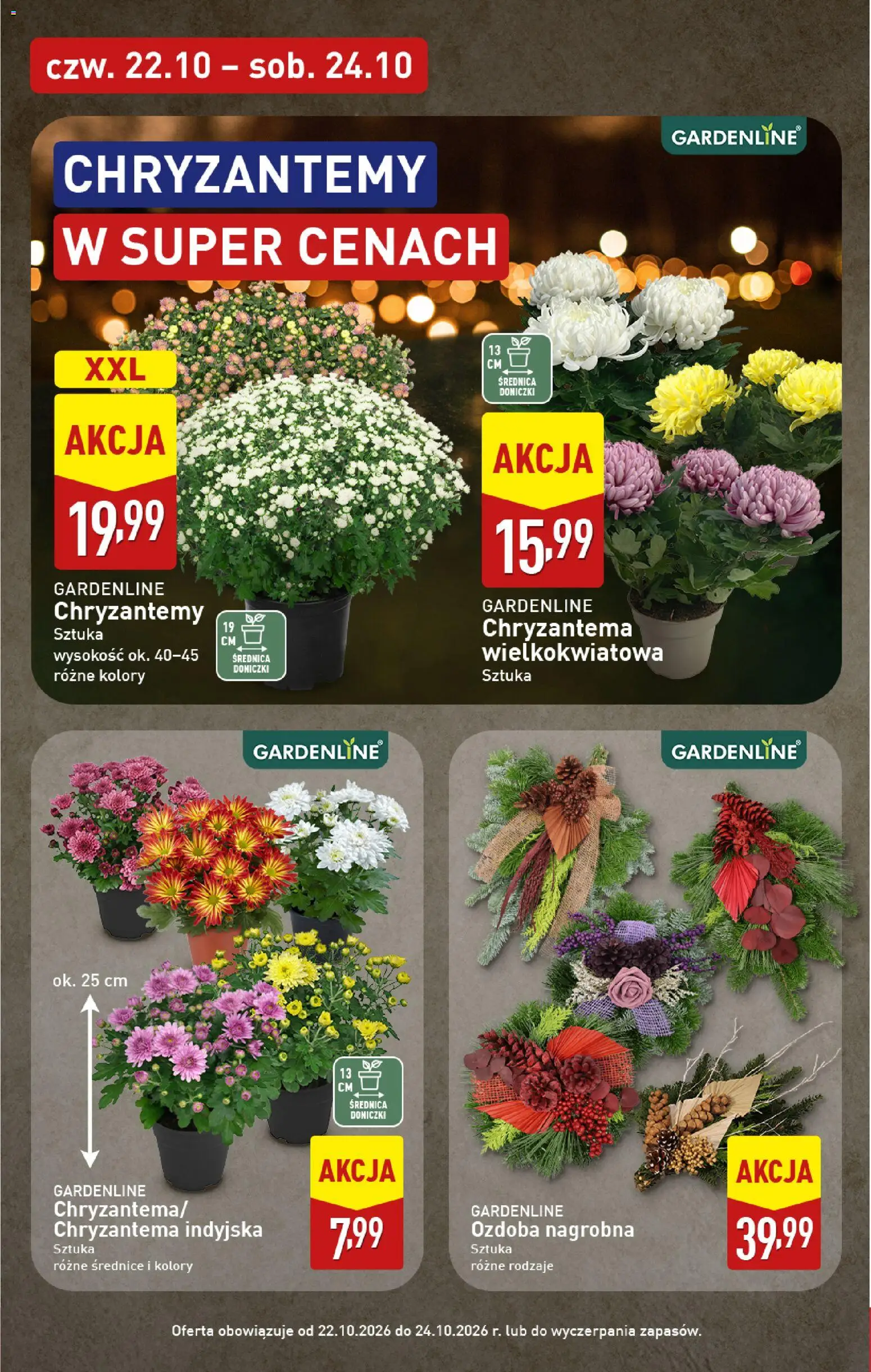 Aldi gazetka - Znicze i stroiki od 19.10.2026 | Strona: 3 | Produkty: Chryzantemy, Doniczki