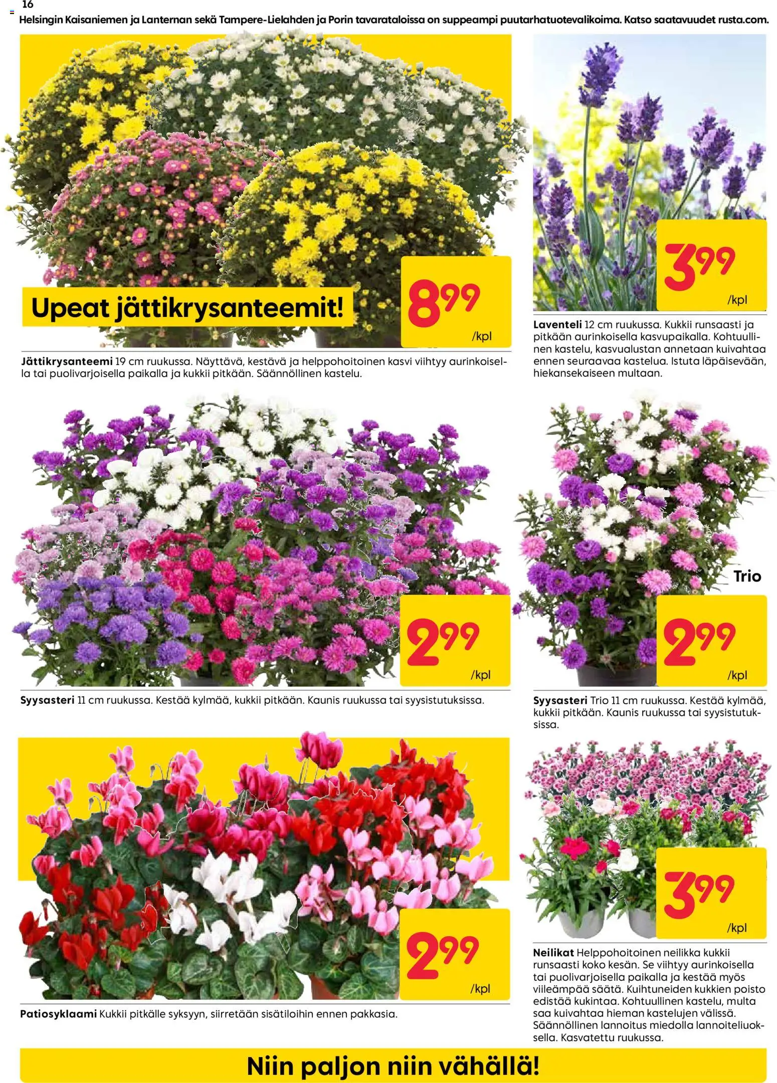 Rusta tarjoukset – voimassa 29/06/2026 alkaen | Sivu: 16