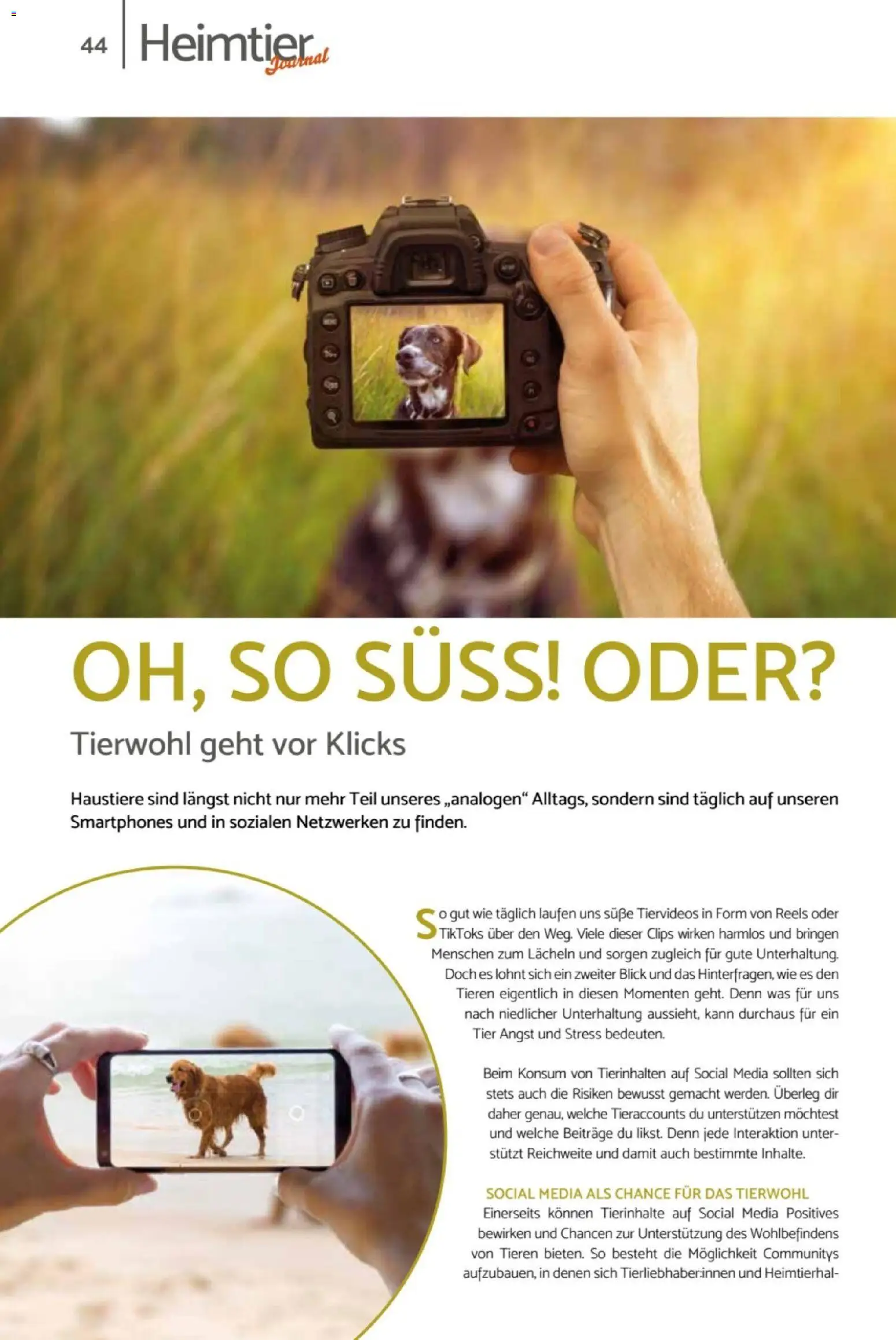 zookauf Heimtier Journal – gültig ab 01.06.2026 | Seite: 44 | Produkte: Smartphones