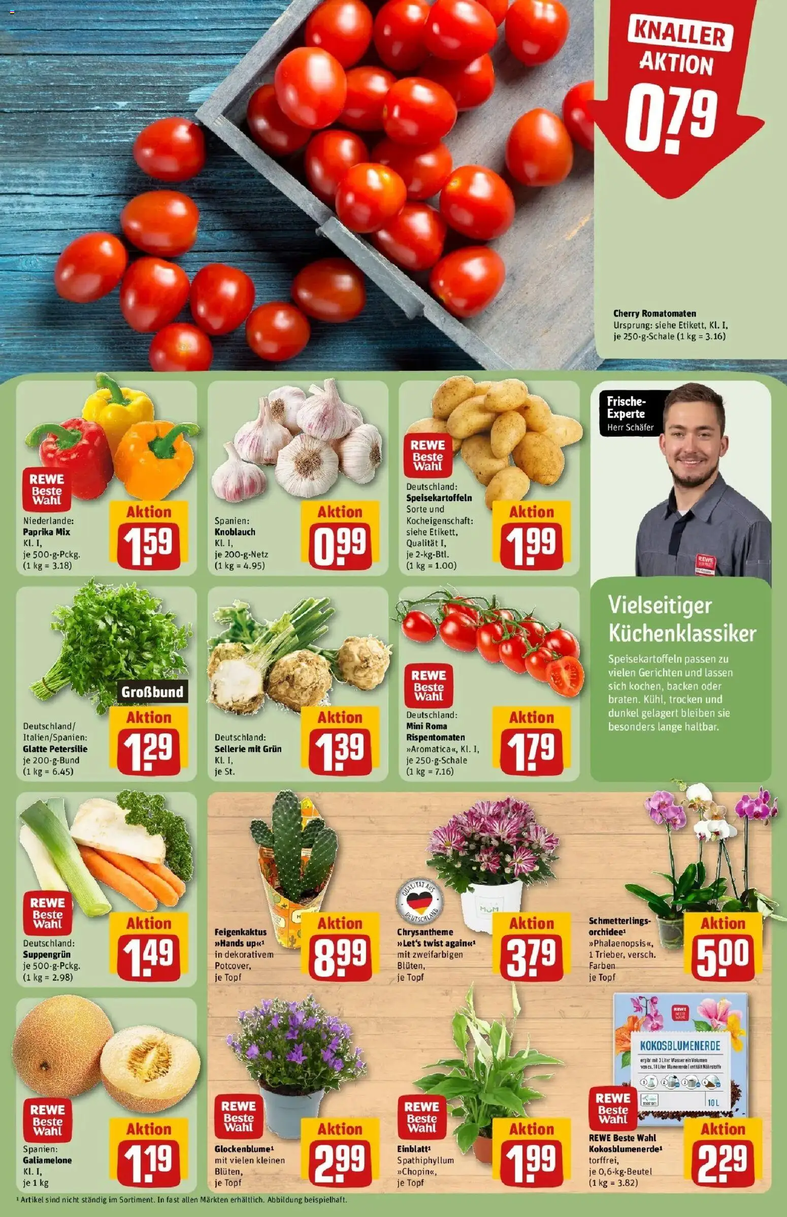 REWE Prospekt ab 10.08.2026 zum Blättern » Angebote | Seite: 5 | Produkte: Blumenerde, Wasser, Knoblauch, Petersilie