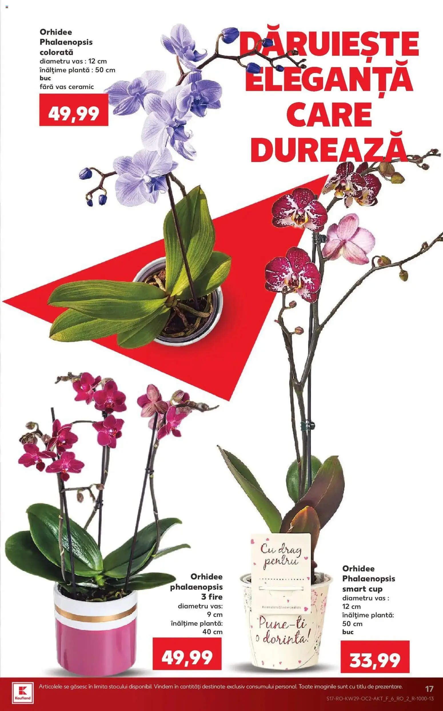 Noul catalog Kaufland – valabil de la 15.07.2026 | Pagină: 17 | Produse: Orhidee