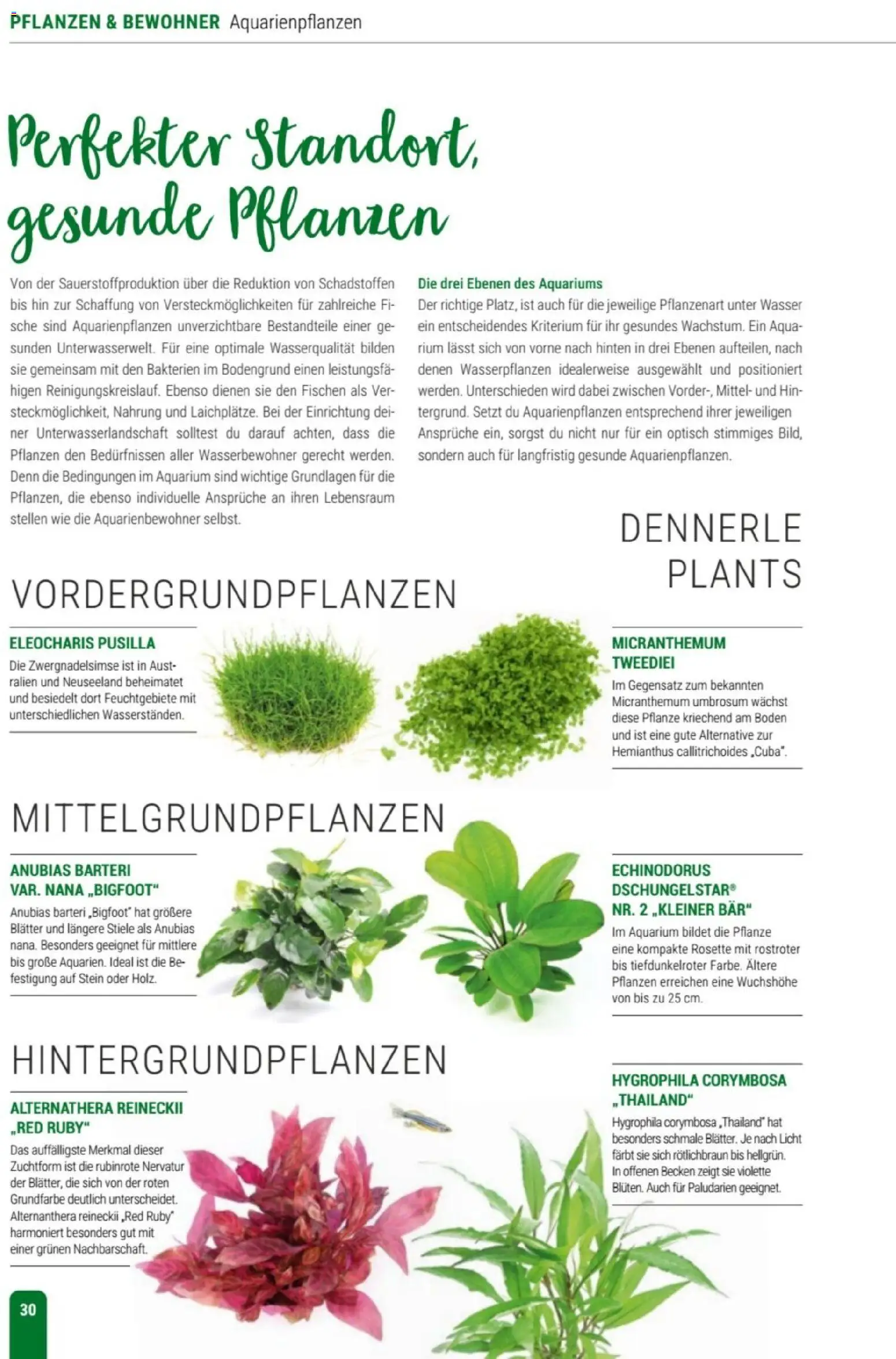 zookauf Themenkatalog Aqua – gültig ab 01.10.2026 | Seite: 30 | Produkte: Wasser