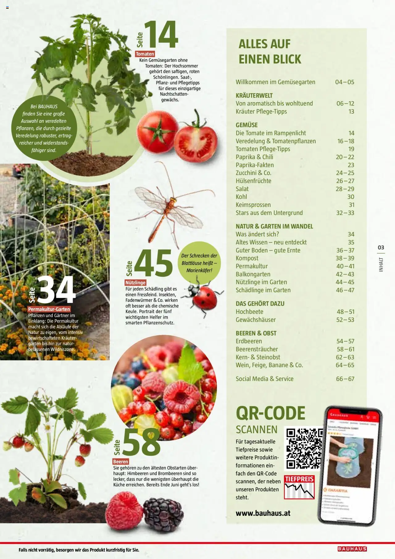 Bauhaus Reiche Ernte Magazin 2025 gültig ab 01.07.2025 | Seite: 3 | Produkte: Gemüse, Chili, Zucchini, Tomaten