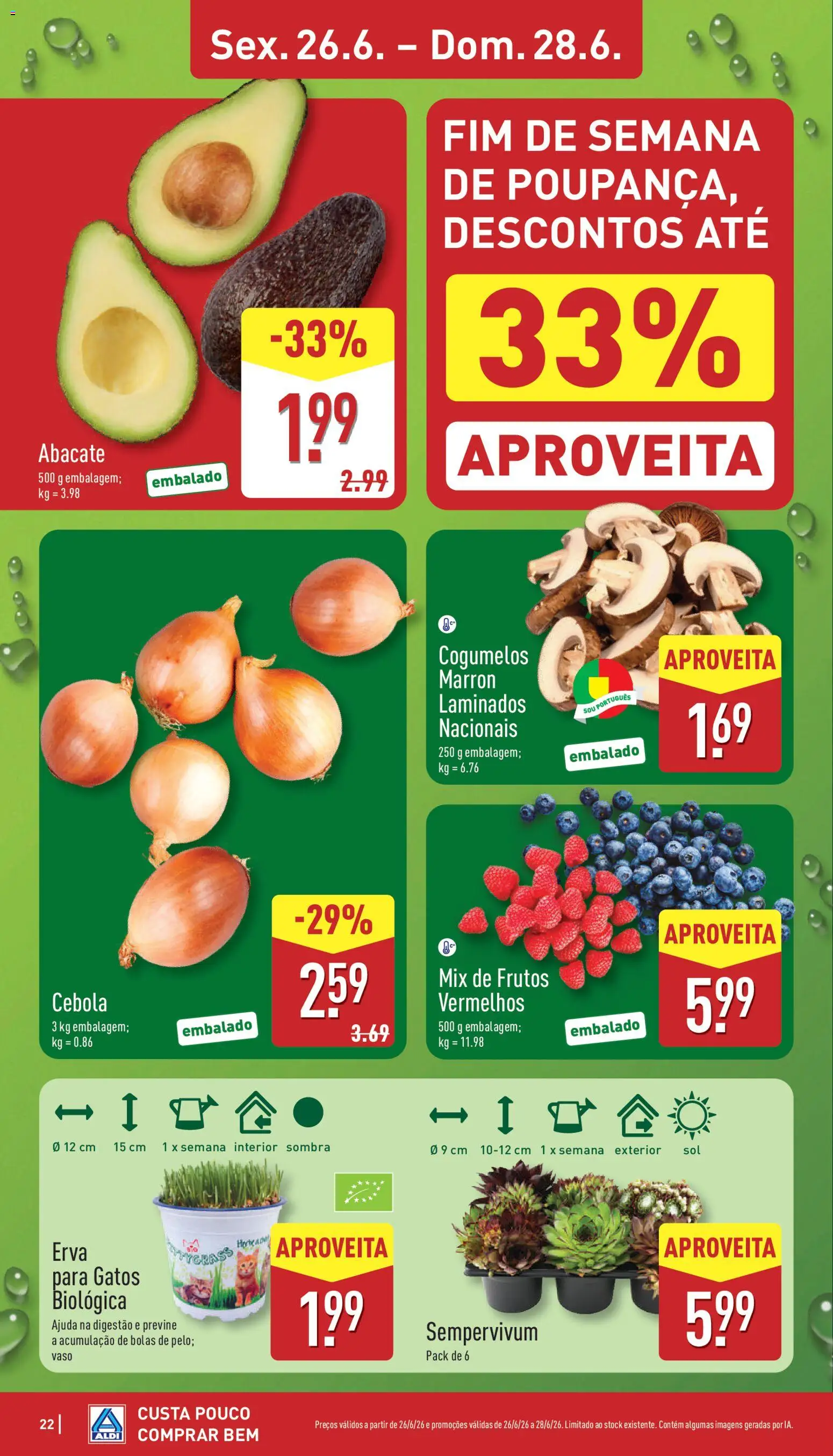 Aldi folheto │ válido de 22.06.2026 | Página: 22 | Produtos: Cebola, Vaso, Abacate, Cogumelos