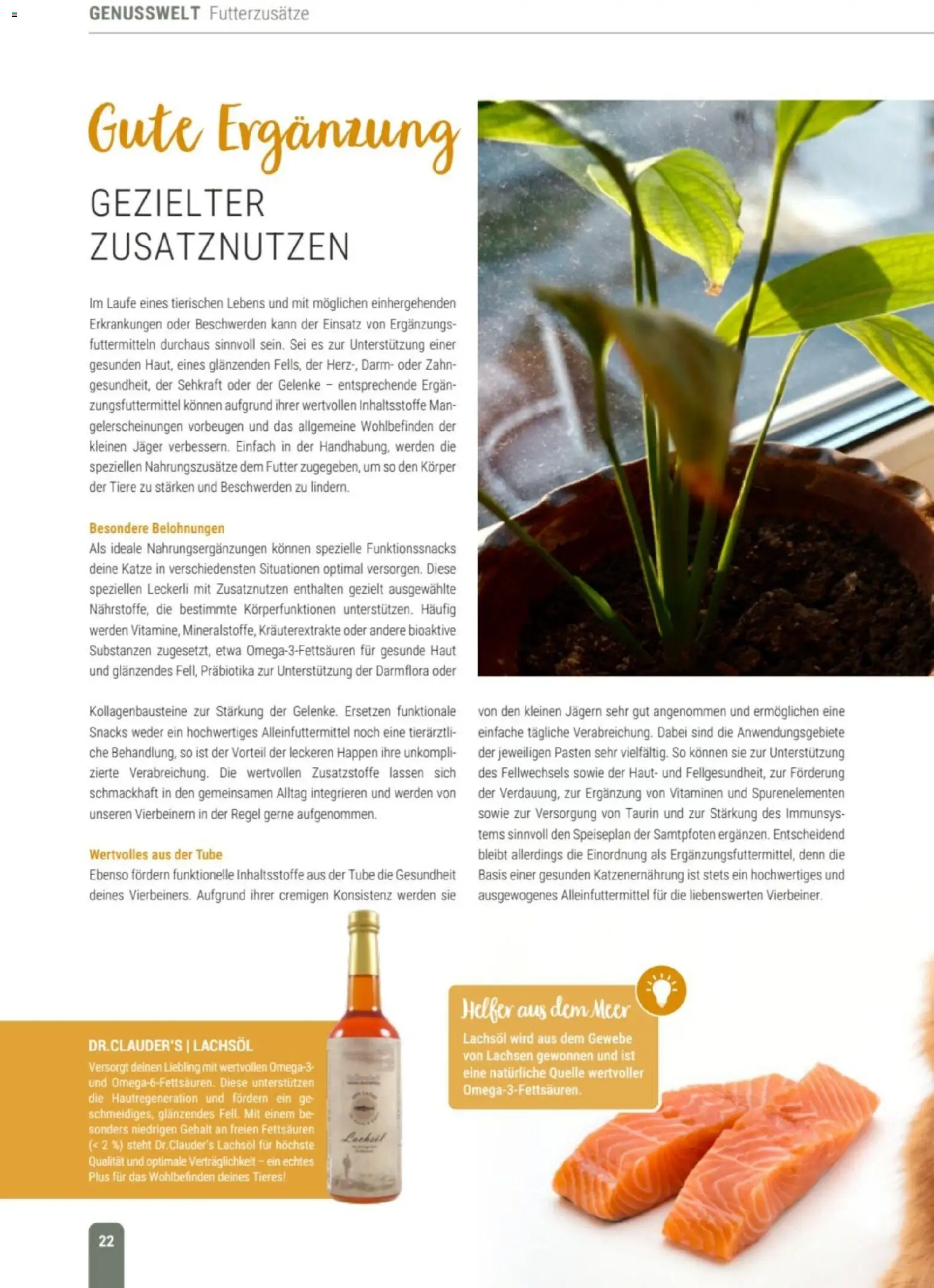 zookauf Themenkatalog Katze – gültig ab 01.10.2026 | Seite: 22