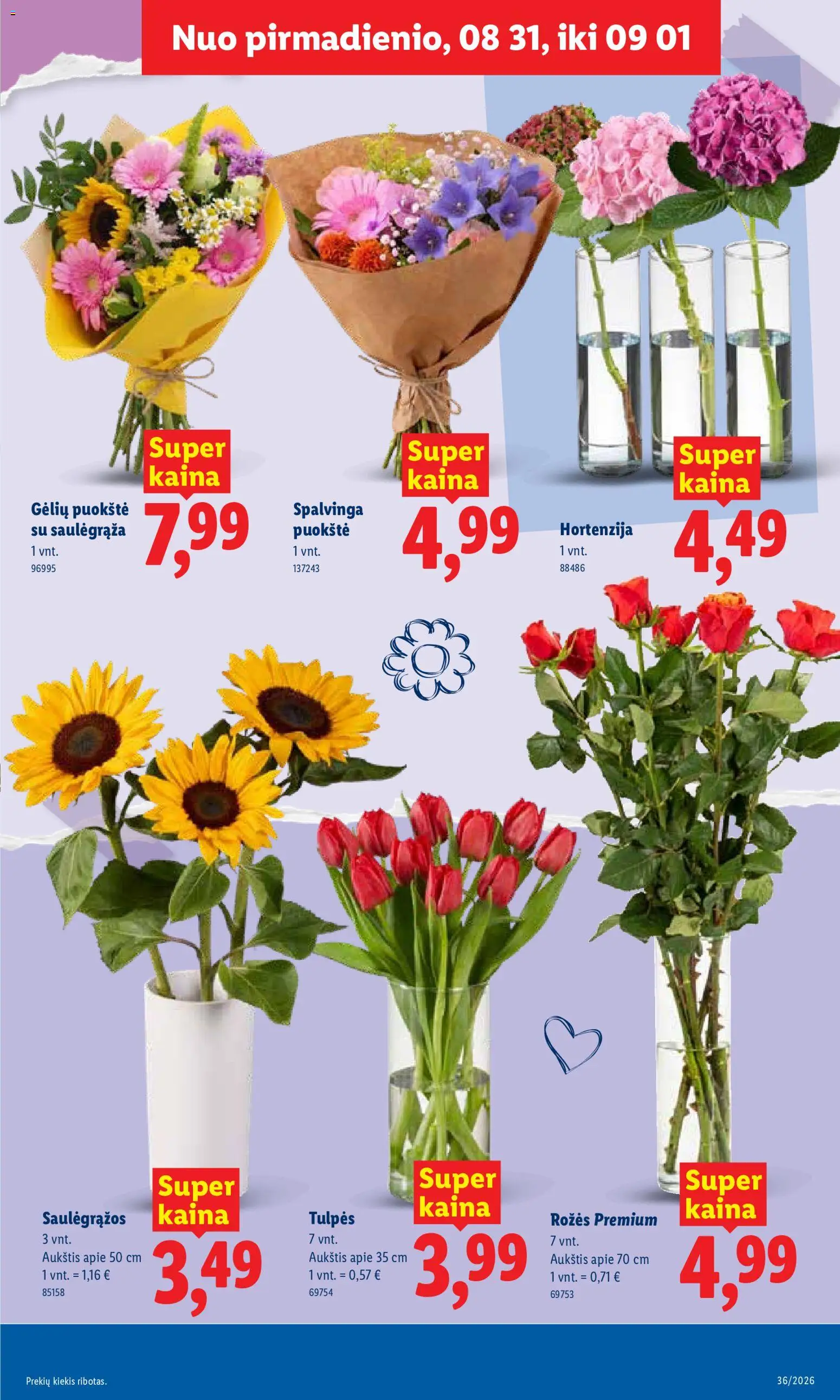 LIDL akcijos nuo 2026.08.31 | Puslapis: 3 | Prekių: Saulėgrąžos