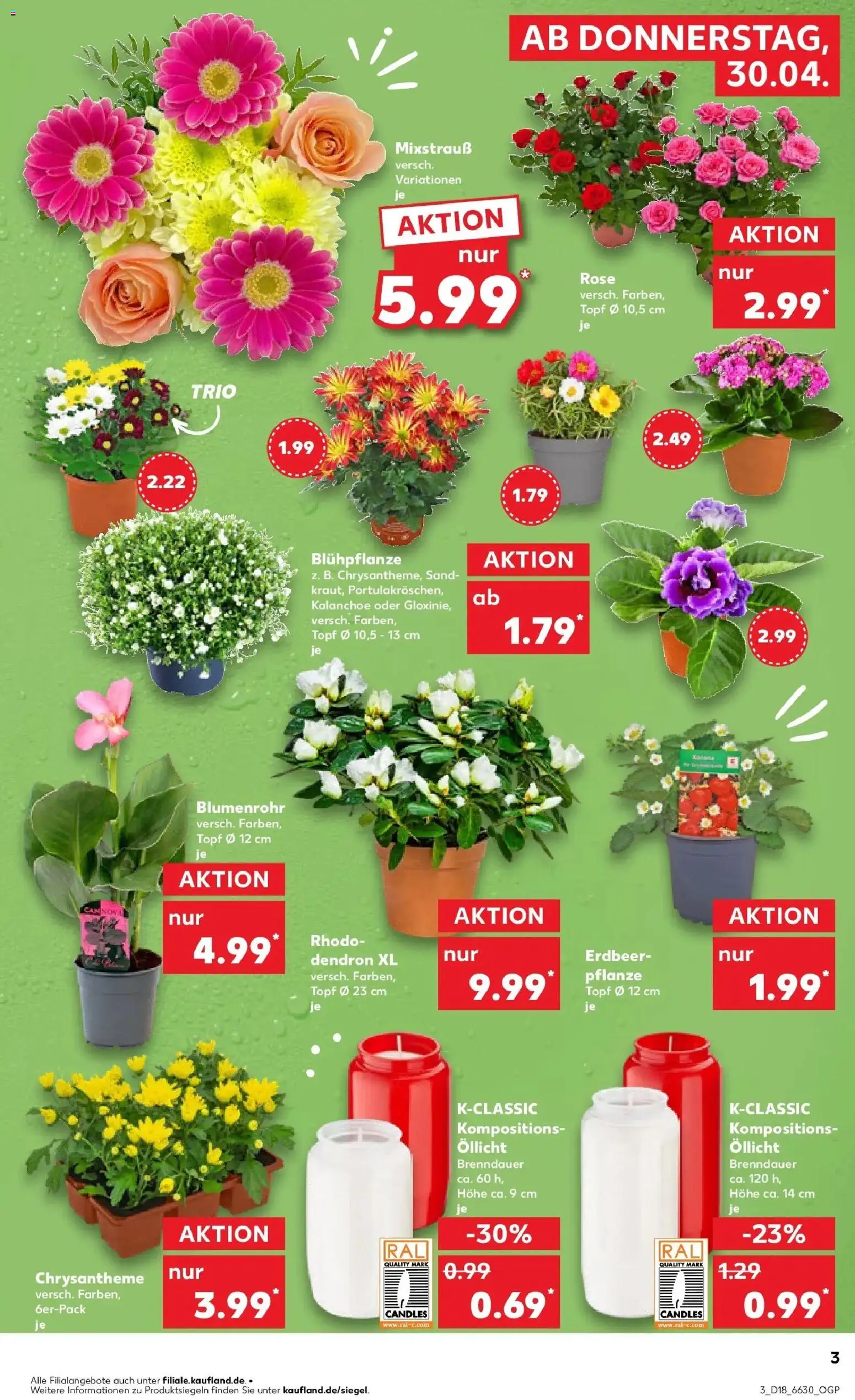 Prospekt Kaufland ab 30.04.2026 » Angebote Online zum Blättern | Seite: 3 | Produkte: Blumen