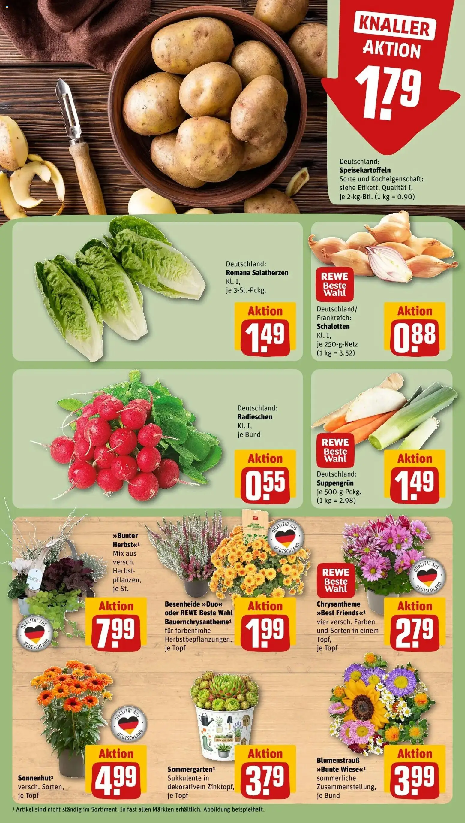REWE Prospekt ab 07.09.2026 zum Blättern » Angebote | Seite: 7