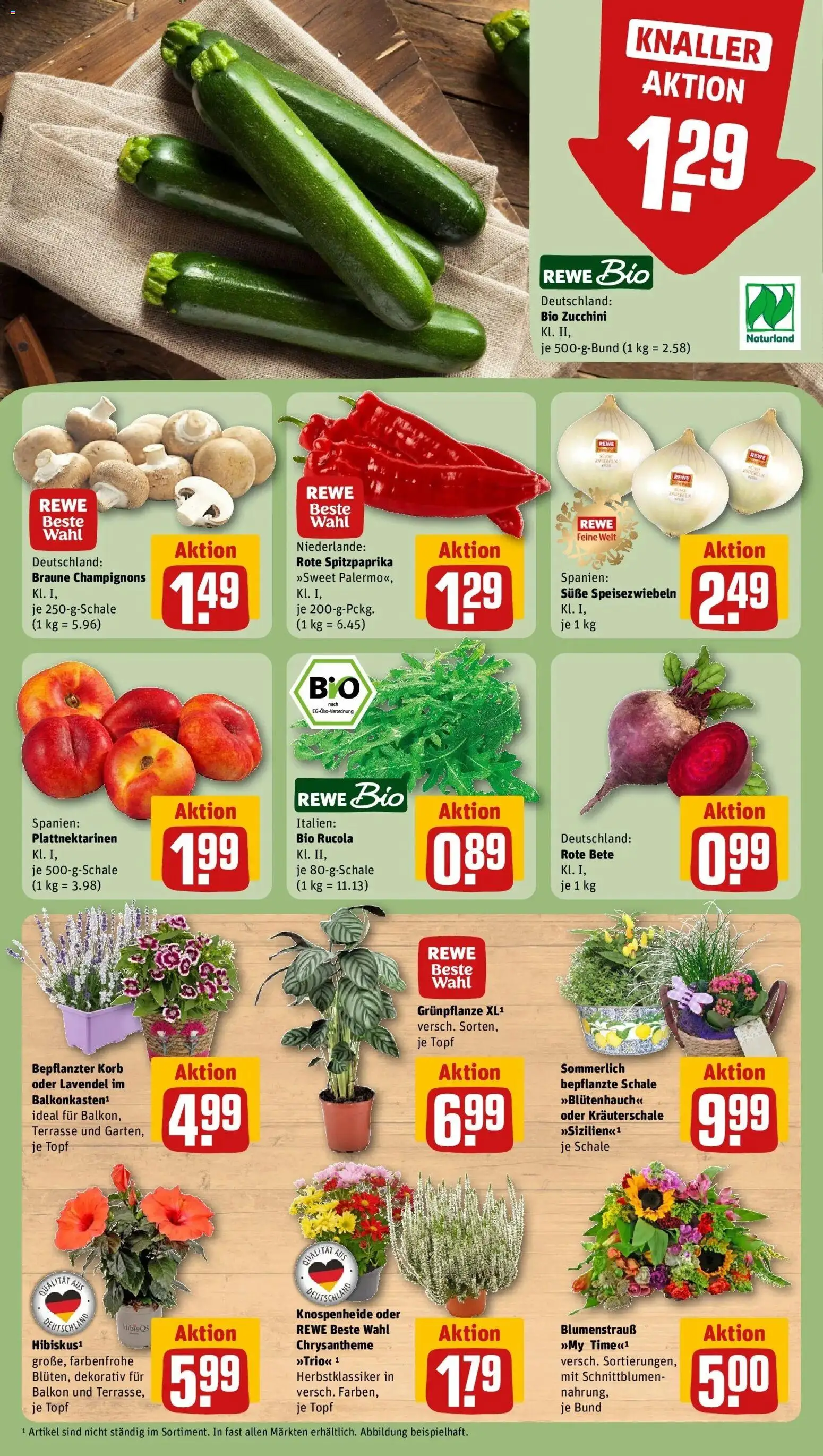 REWE Prospekt ab 17.08.2026 zum Blättern » Angebote | Seite: 9 | Produkte: Rucola, Champignons, Zucchini, Lavendel