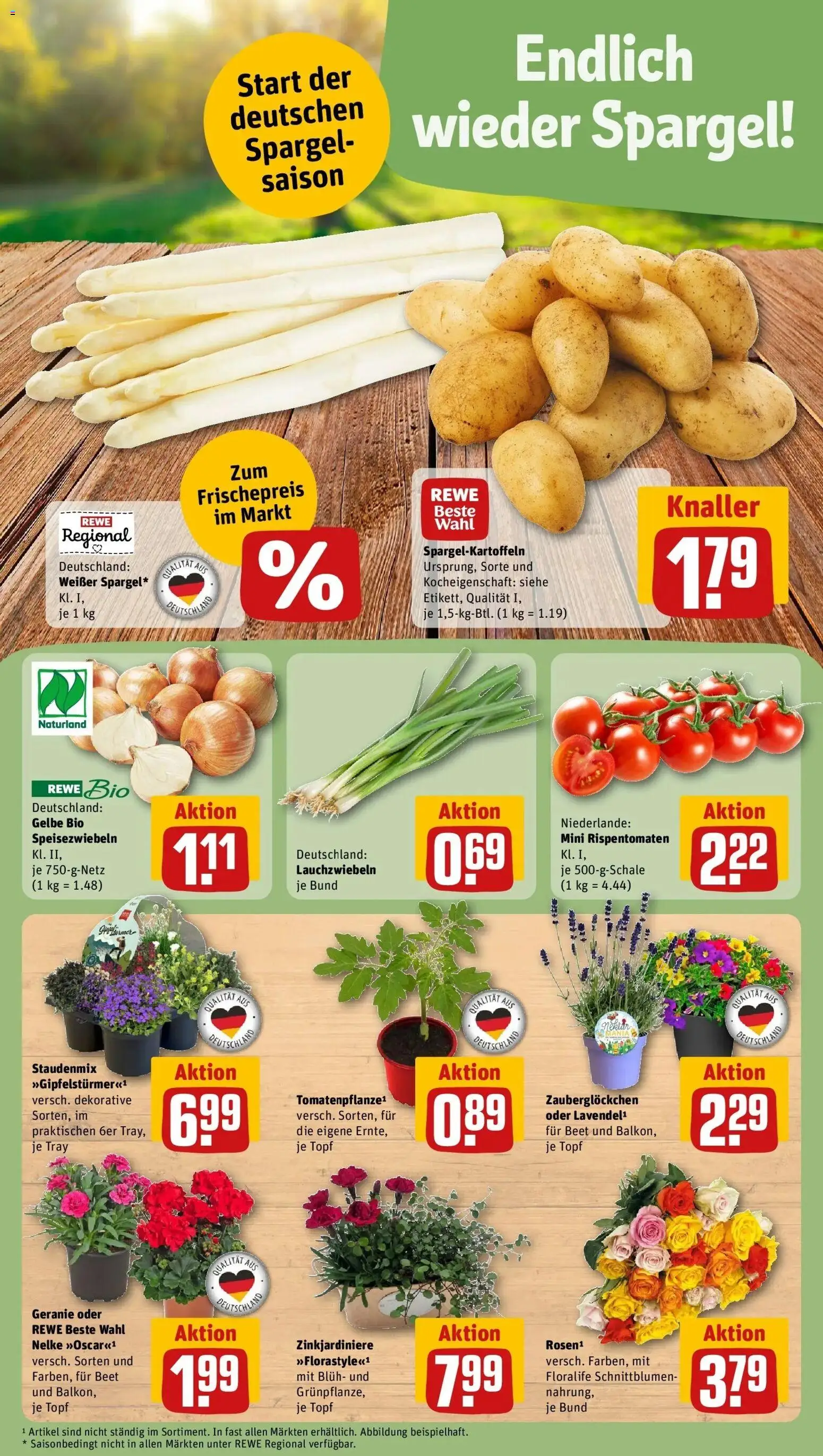 Rewe Prospekt Waltrop	 – gültig ab 12.04.2026 | Seite: 5 | Produkte: Spargel