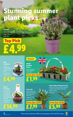 Preview of Weekly offers Lidl valid from 09/07/2026 | Page: 14