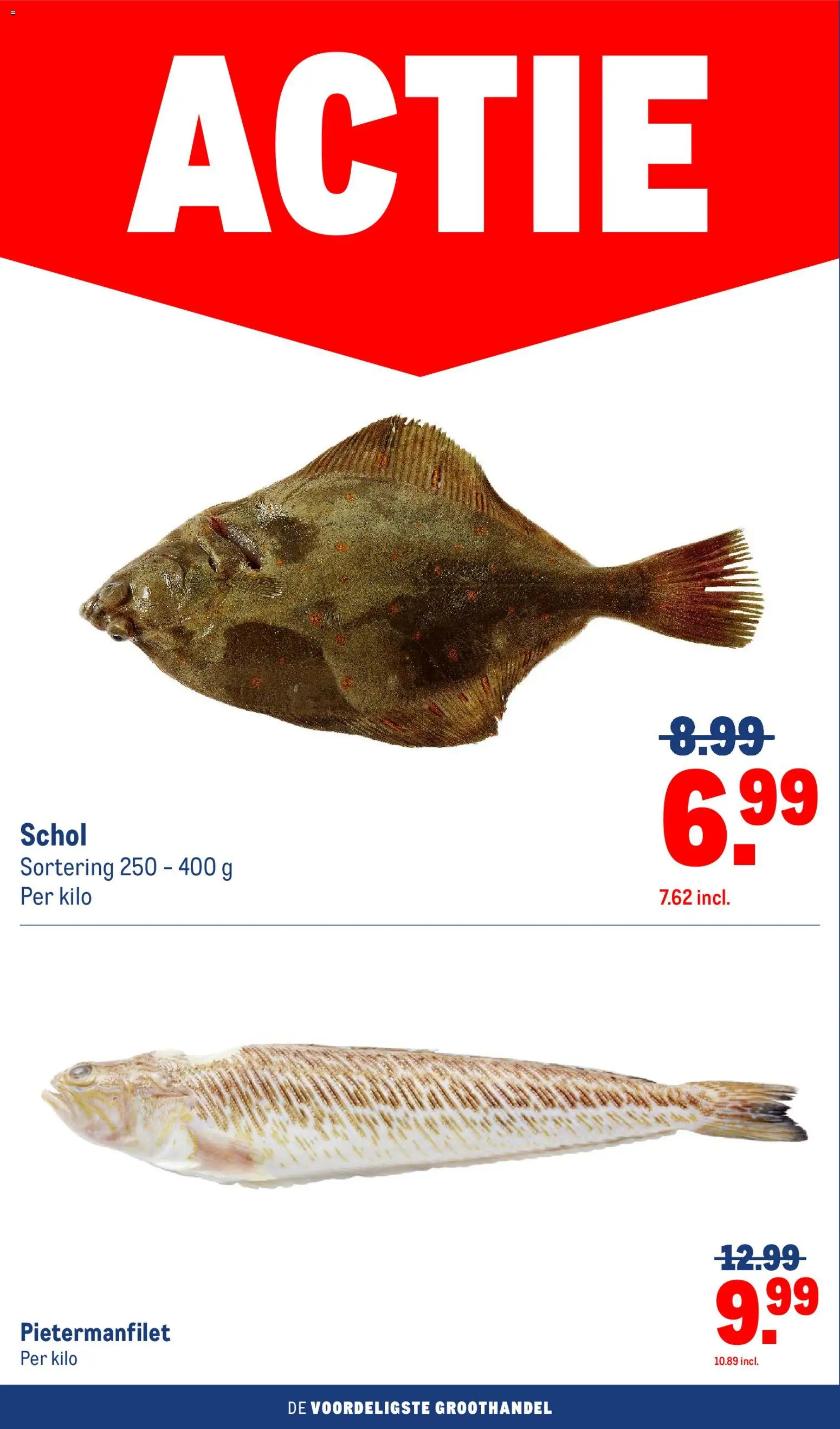 {H1} | Pagina: 2