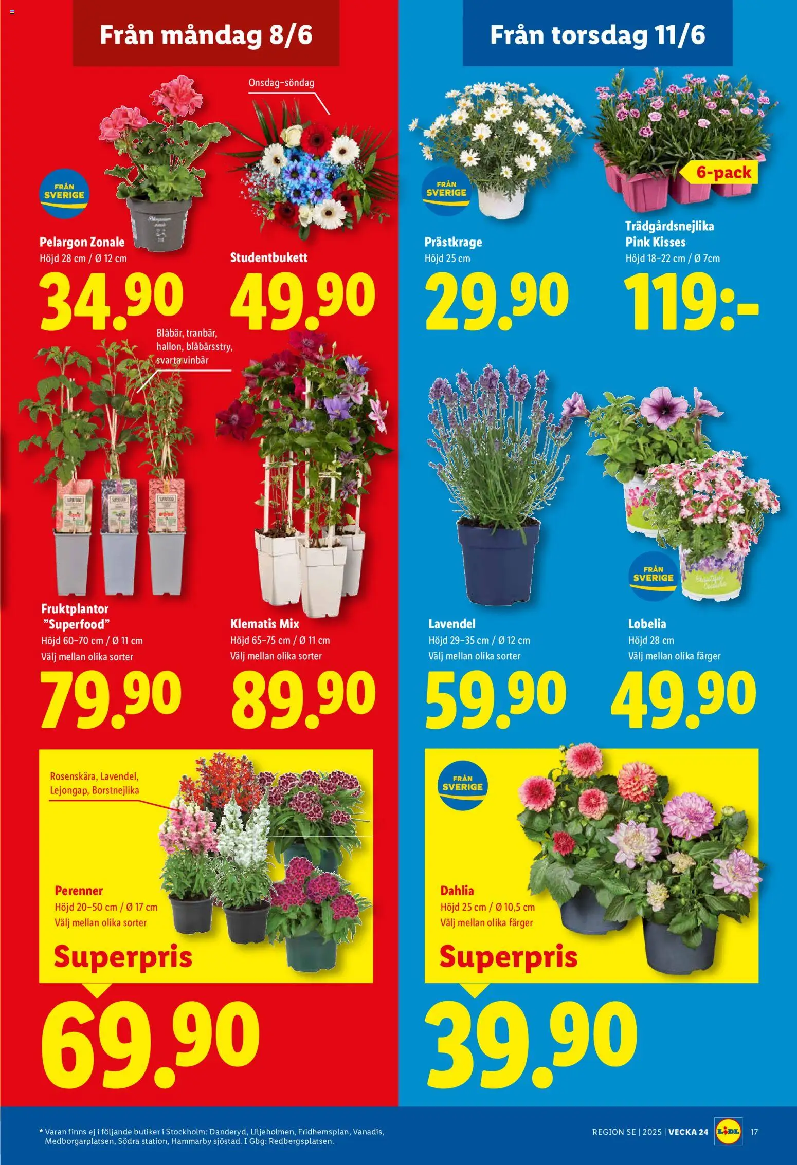 Lidl reklamblad aktuell från 08.06.2026 | Sida: 20 | Produkter: Lavendel, Pelargon